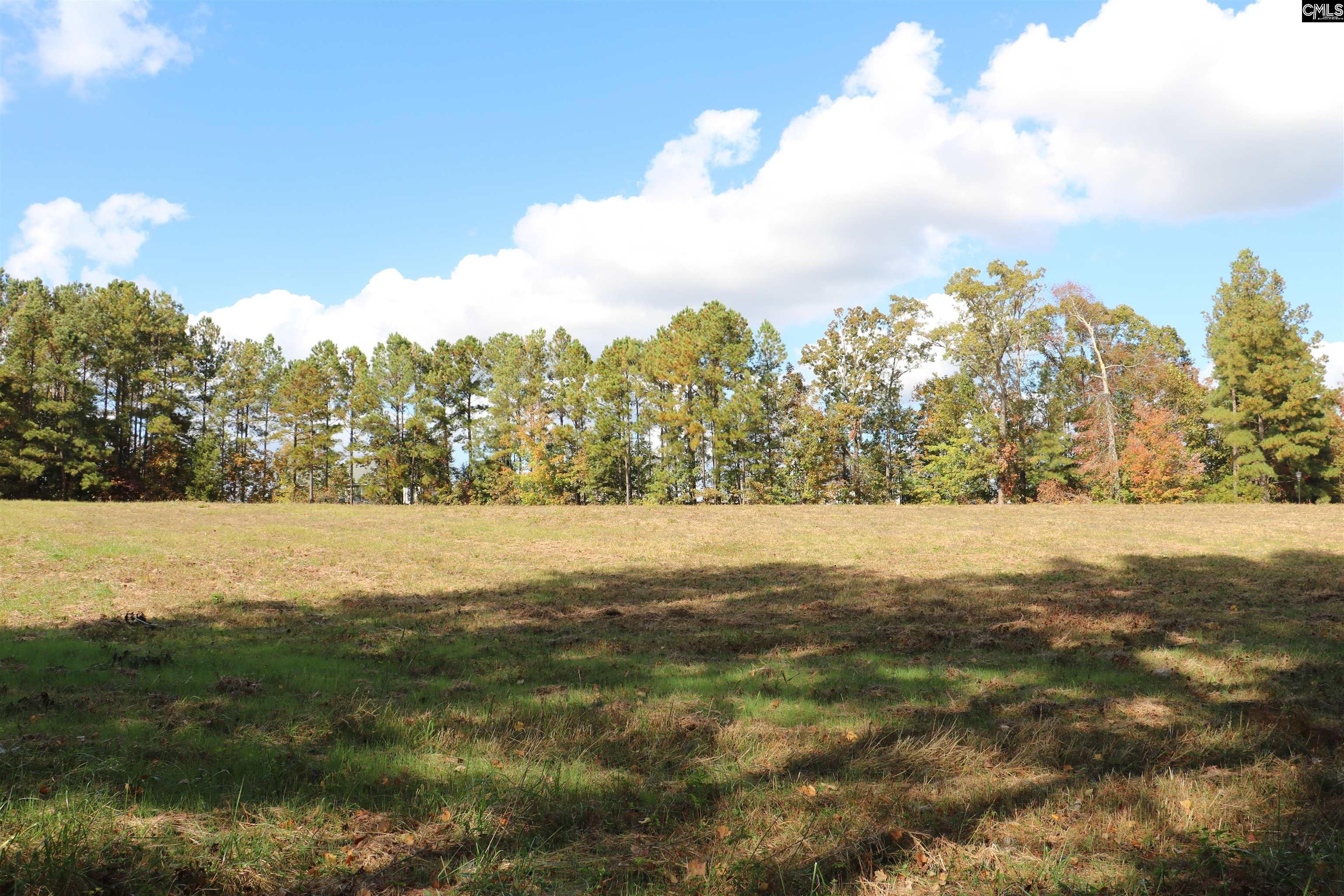 Bethany Drive Irmo, SC 29063