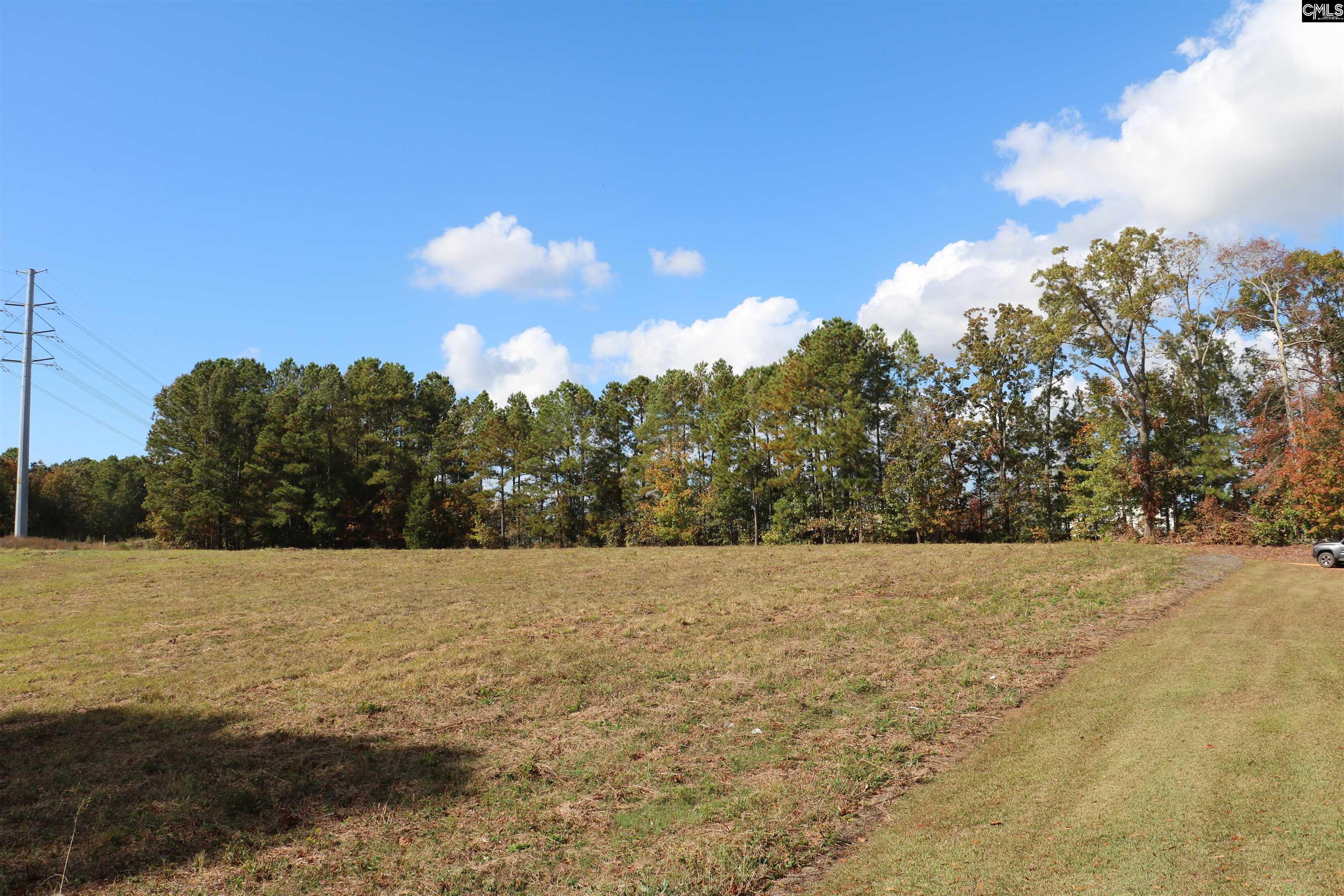 Bethany Drive Irmo, SC 29063
