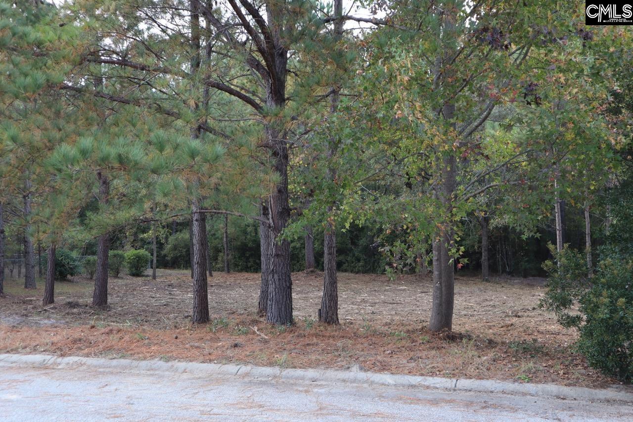 62 Choctaw Circle Elgin, SC 29045