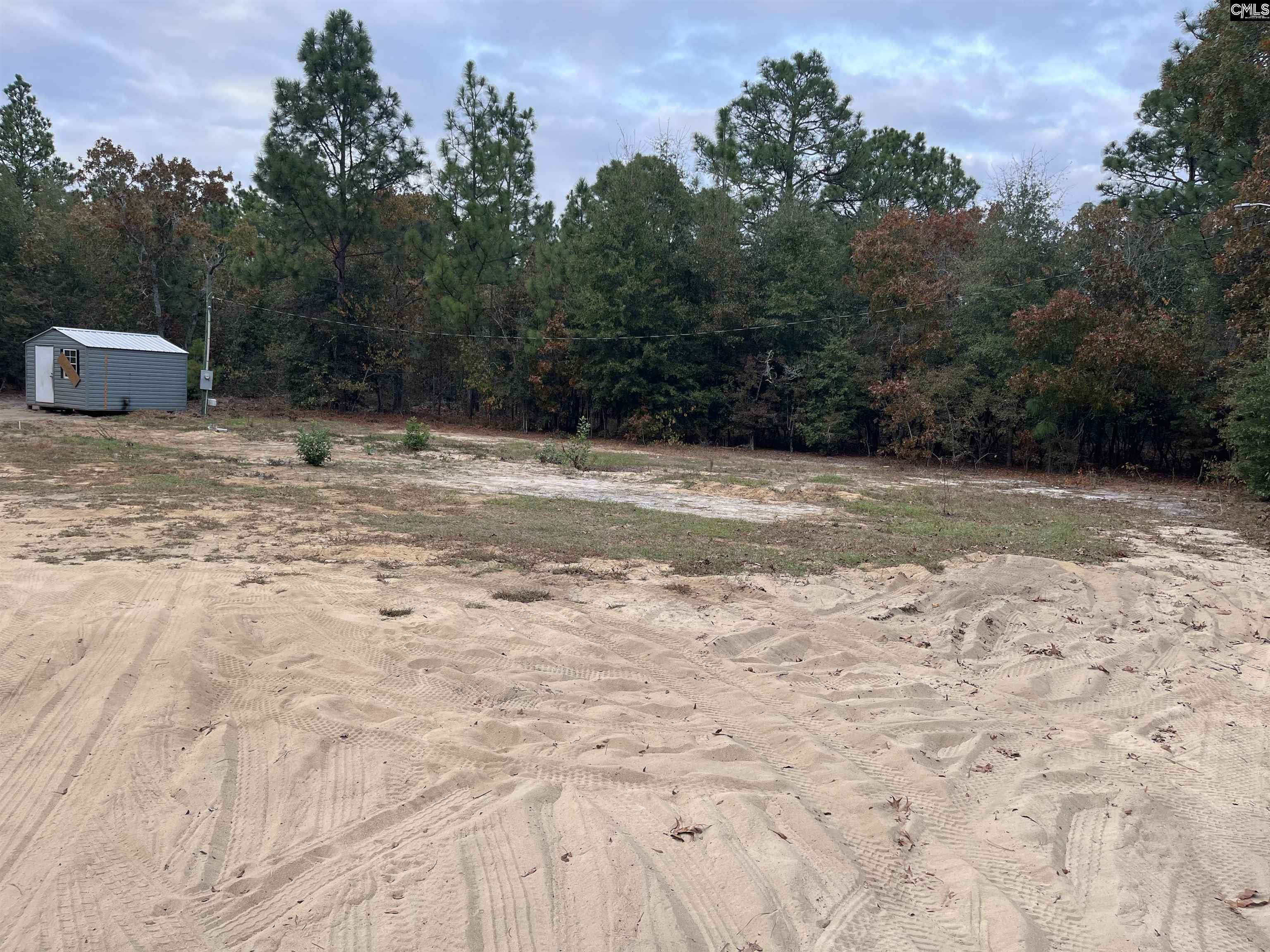 220 Ann Street Pelion, SC 29123