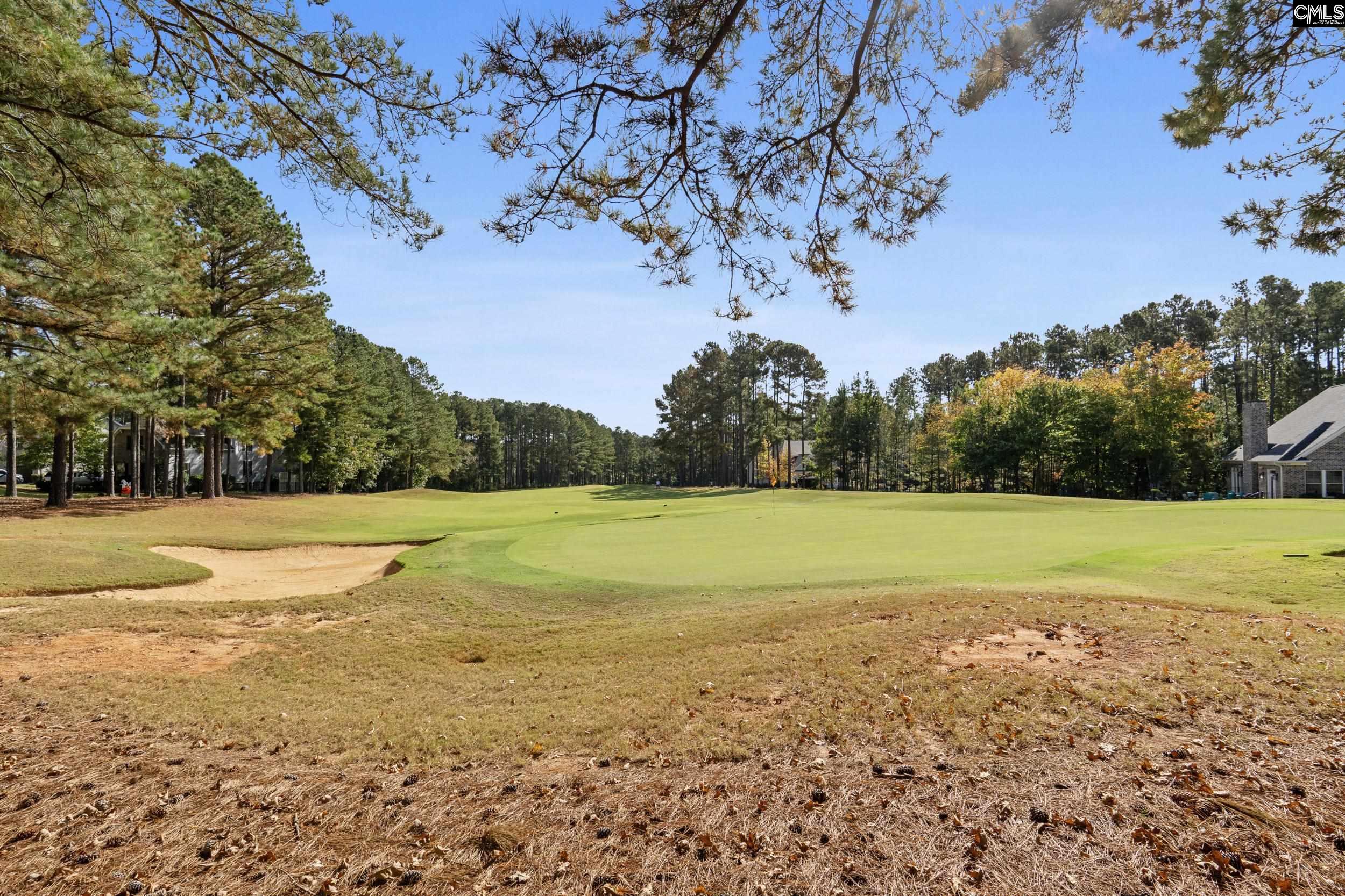 245 Woodlander Drive Blythewood, SC 29016