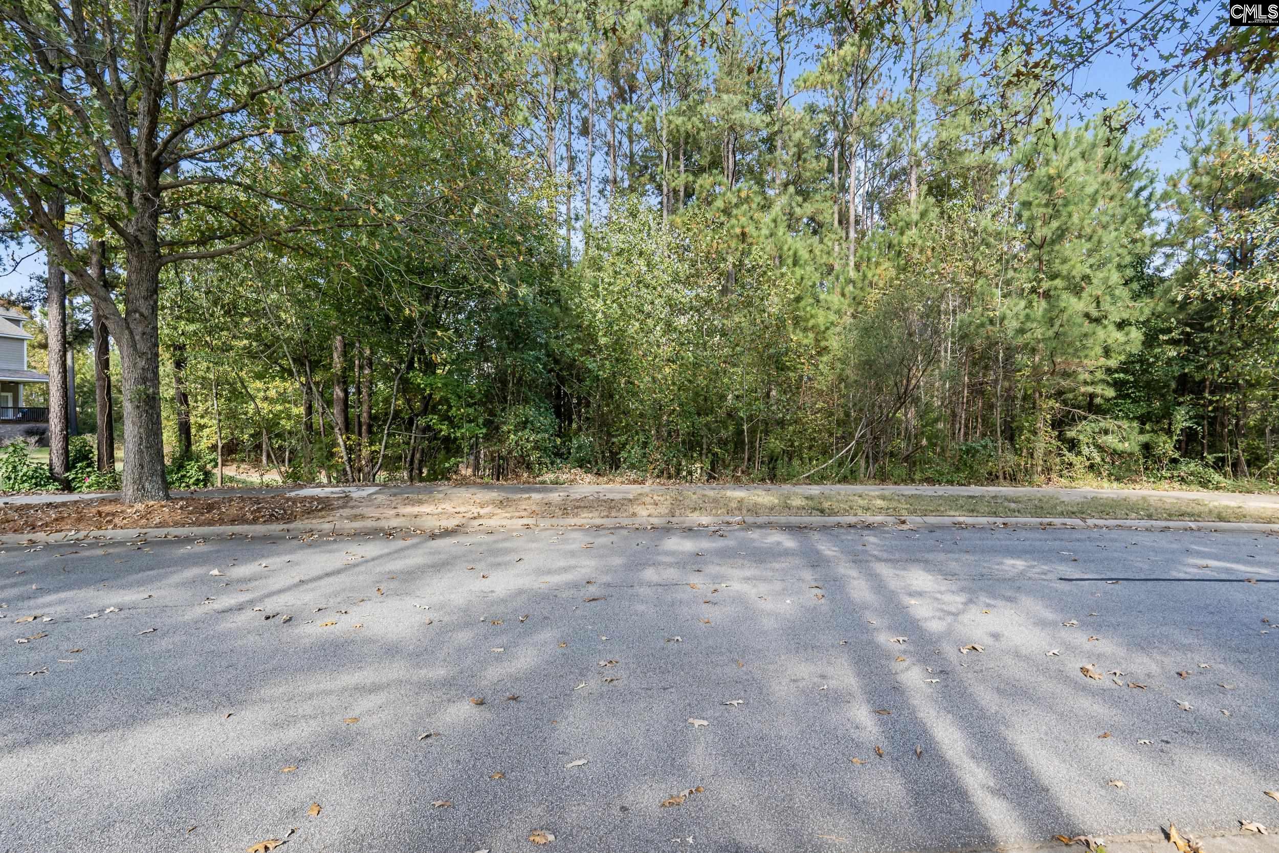 245 Woodlander Drive, Blythewood, South Carolina image 11