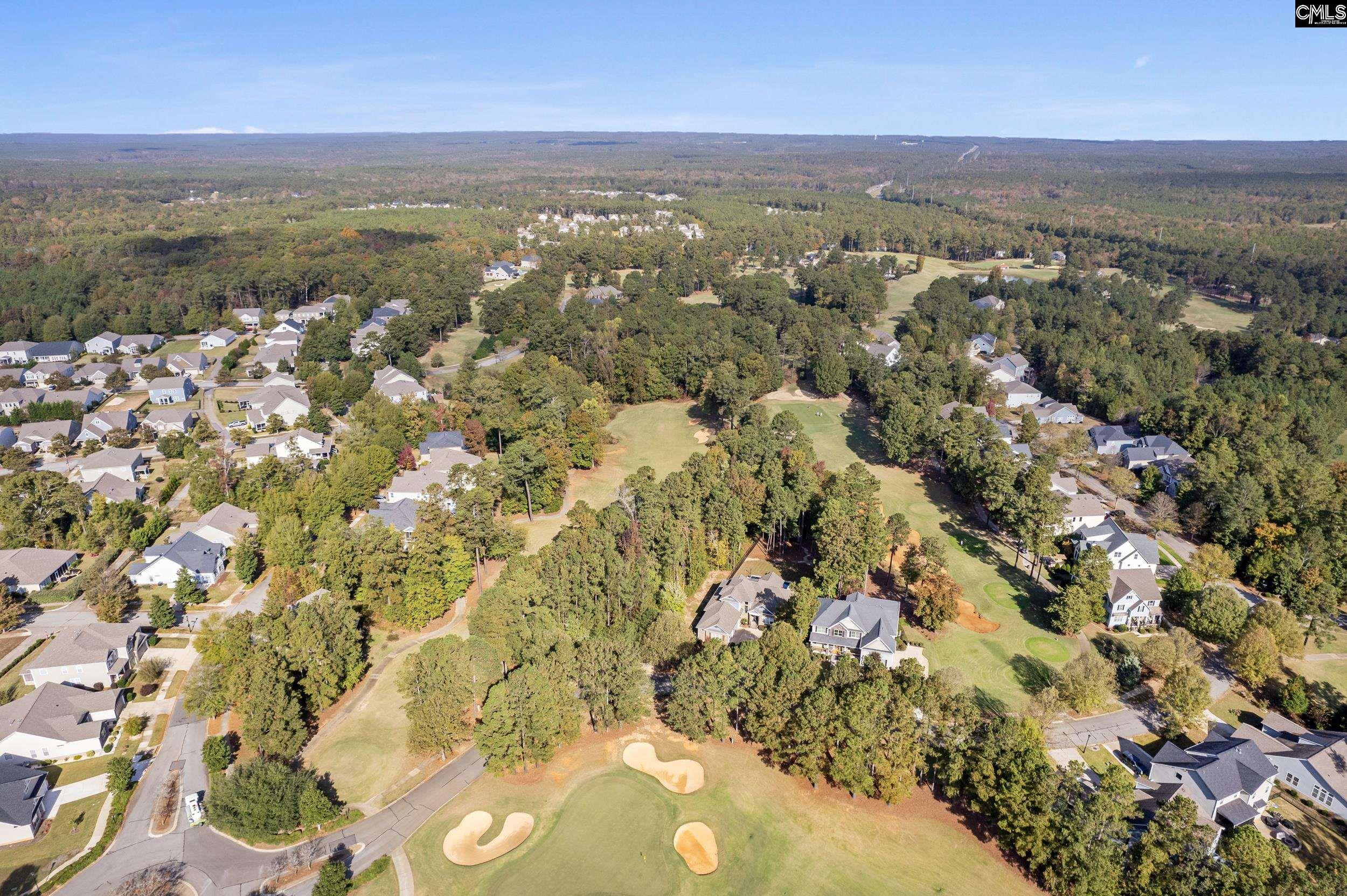 245 Woodlander Drive, Blythewood, South Carolina image 12
