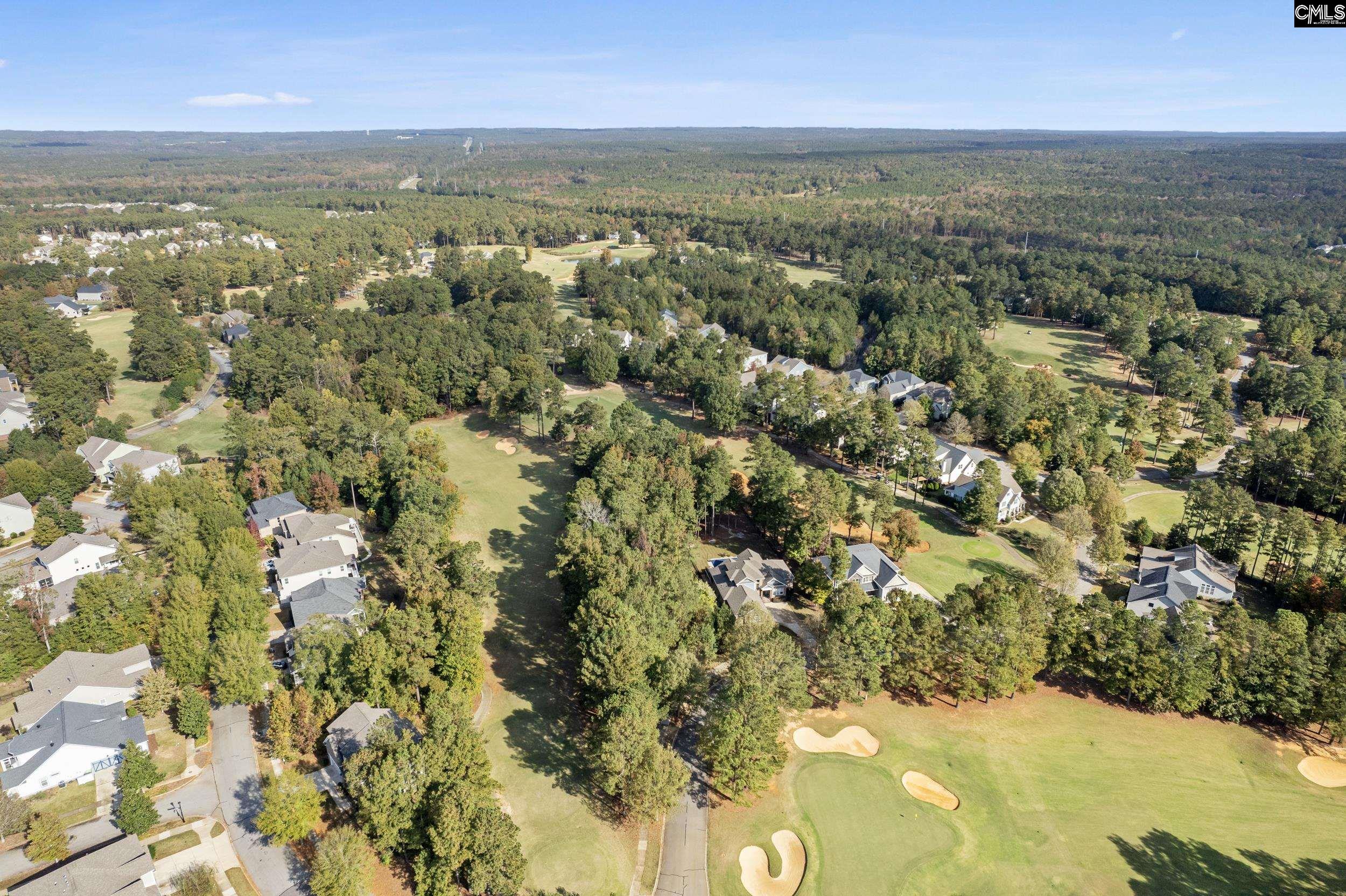 245 Woodlander Drive, Blythewood, South Carolina image 13