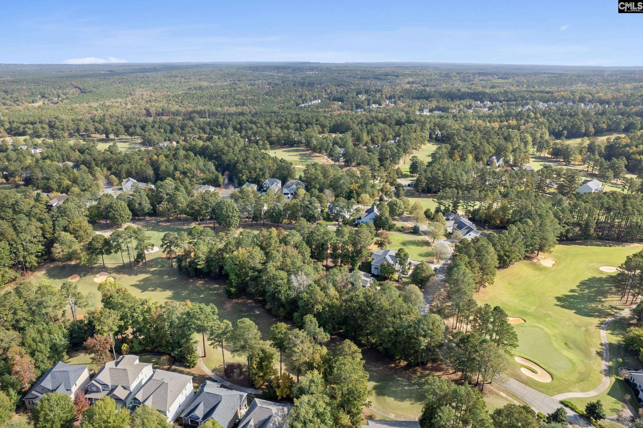 245 Woodlander Drive, Blythewood, South Carolina image 14