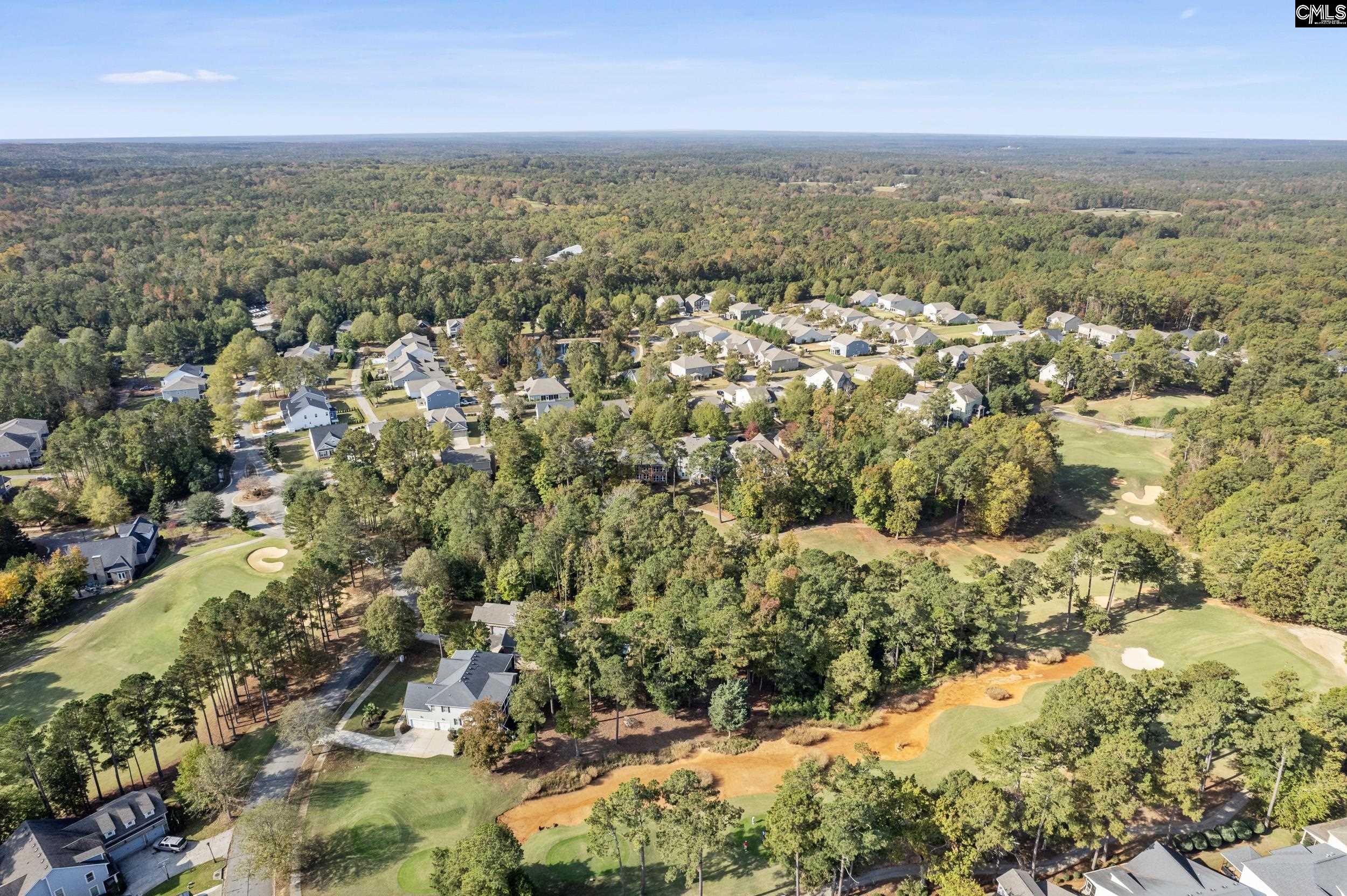 245 Woodlander Drive, Blythewood, South Carolina image 17