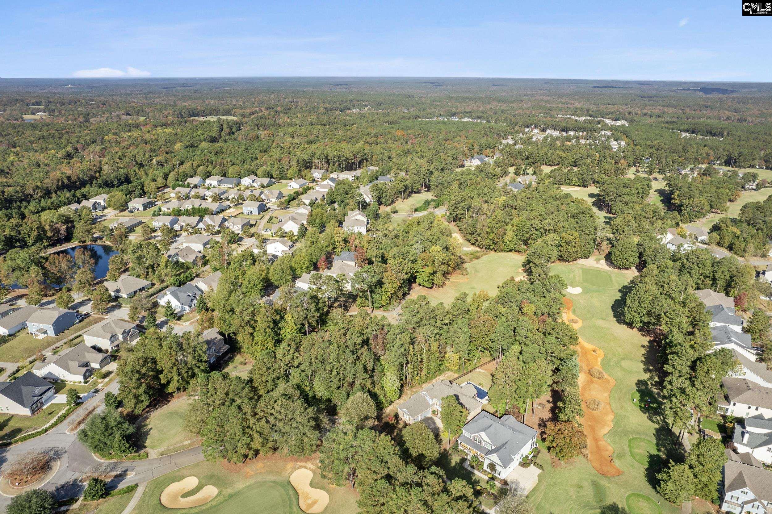 245 Woodlander Drive, Blythewood, South Carolina image 18