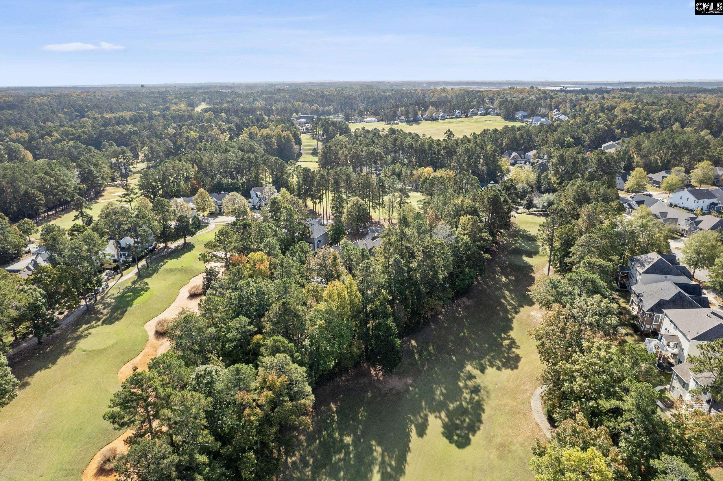 245 Woodlander Drive, Blythewood, South Carolina image 19