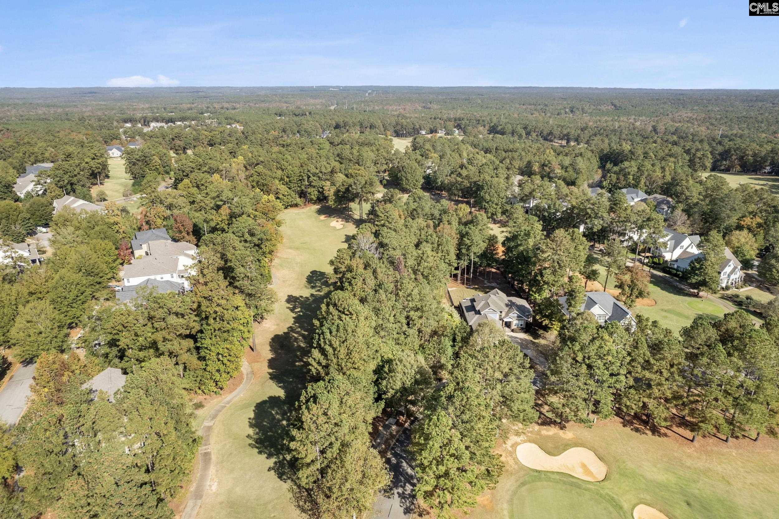 245 Woodlander Drive, Blythewood, South Carolina image 20