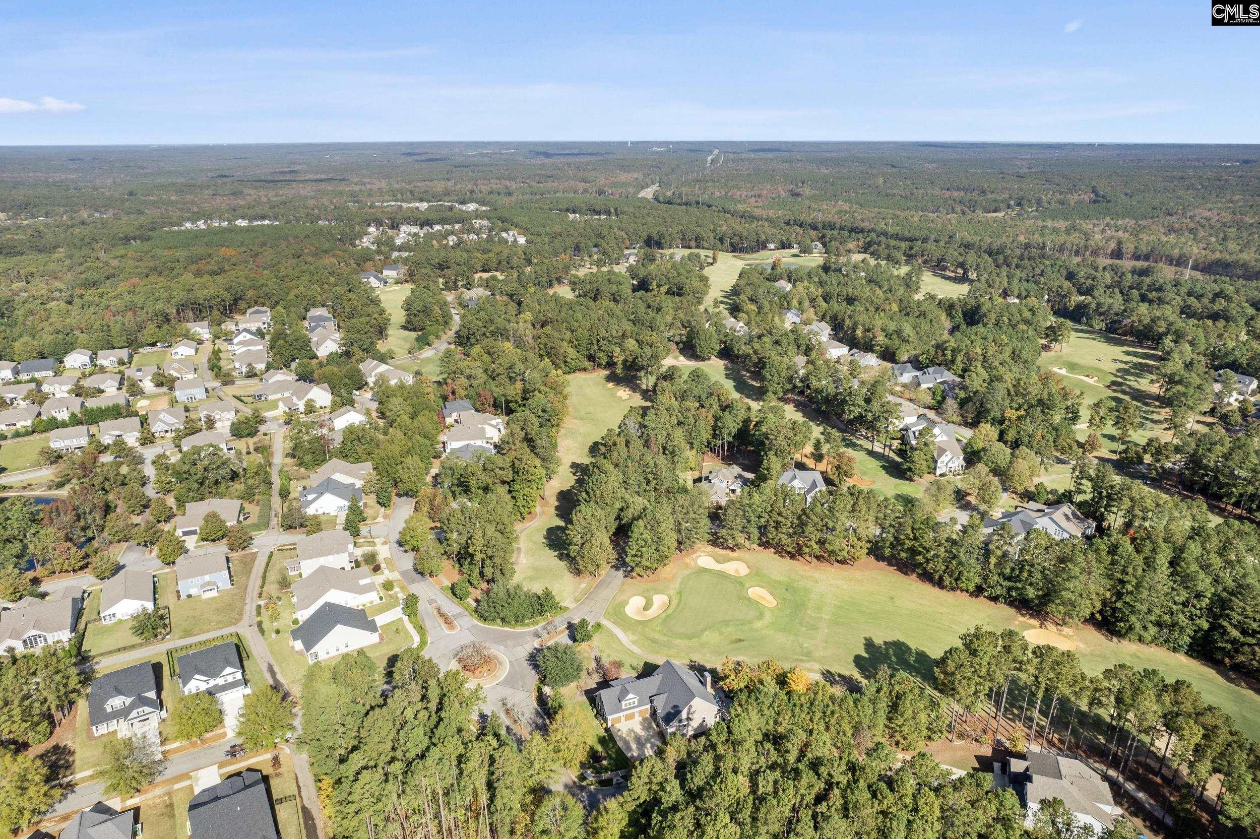 245 Woodlander Drive, Blythewood, South Carolina image 21