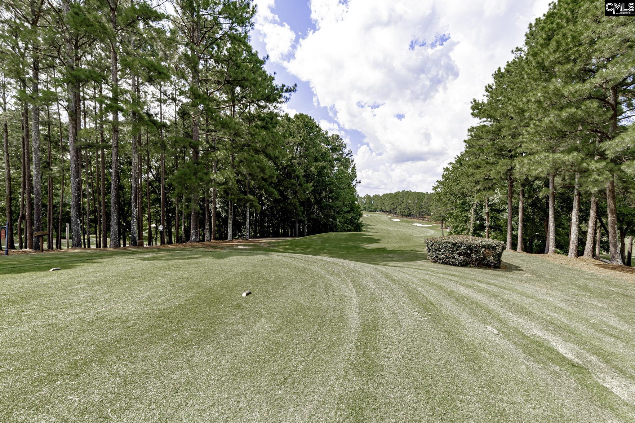 245 Woodlander Drive, Blythewood, South Carolina image 29
