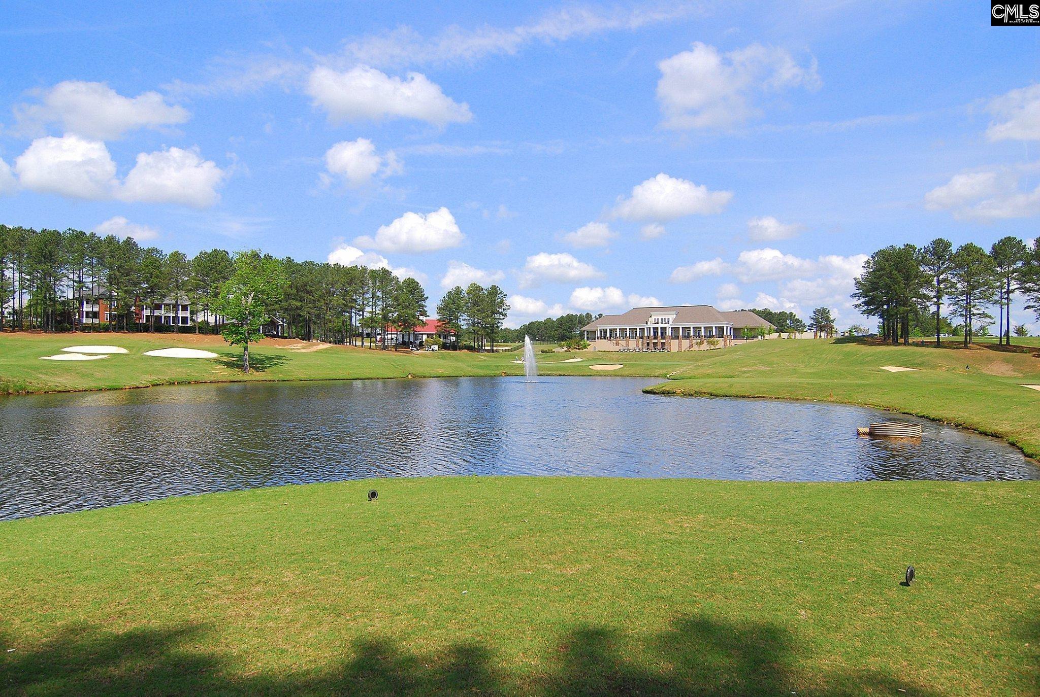 245 Woodlander Drive, Blythewood, South Carolina image 31