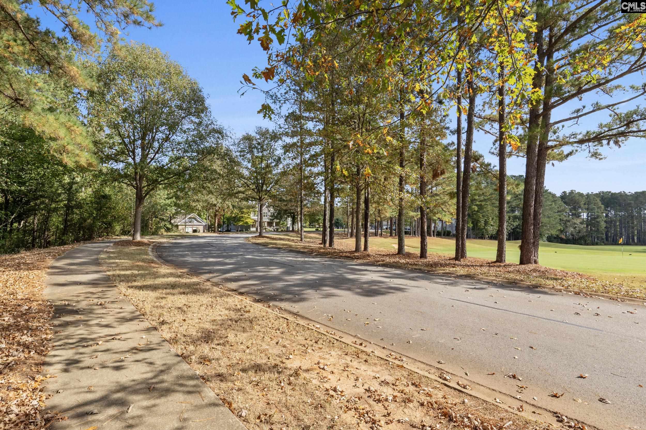245 Woodlander Drive, Blythewood, South Carolina image 7