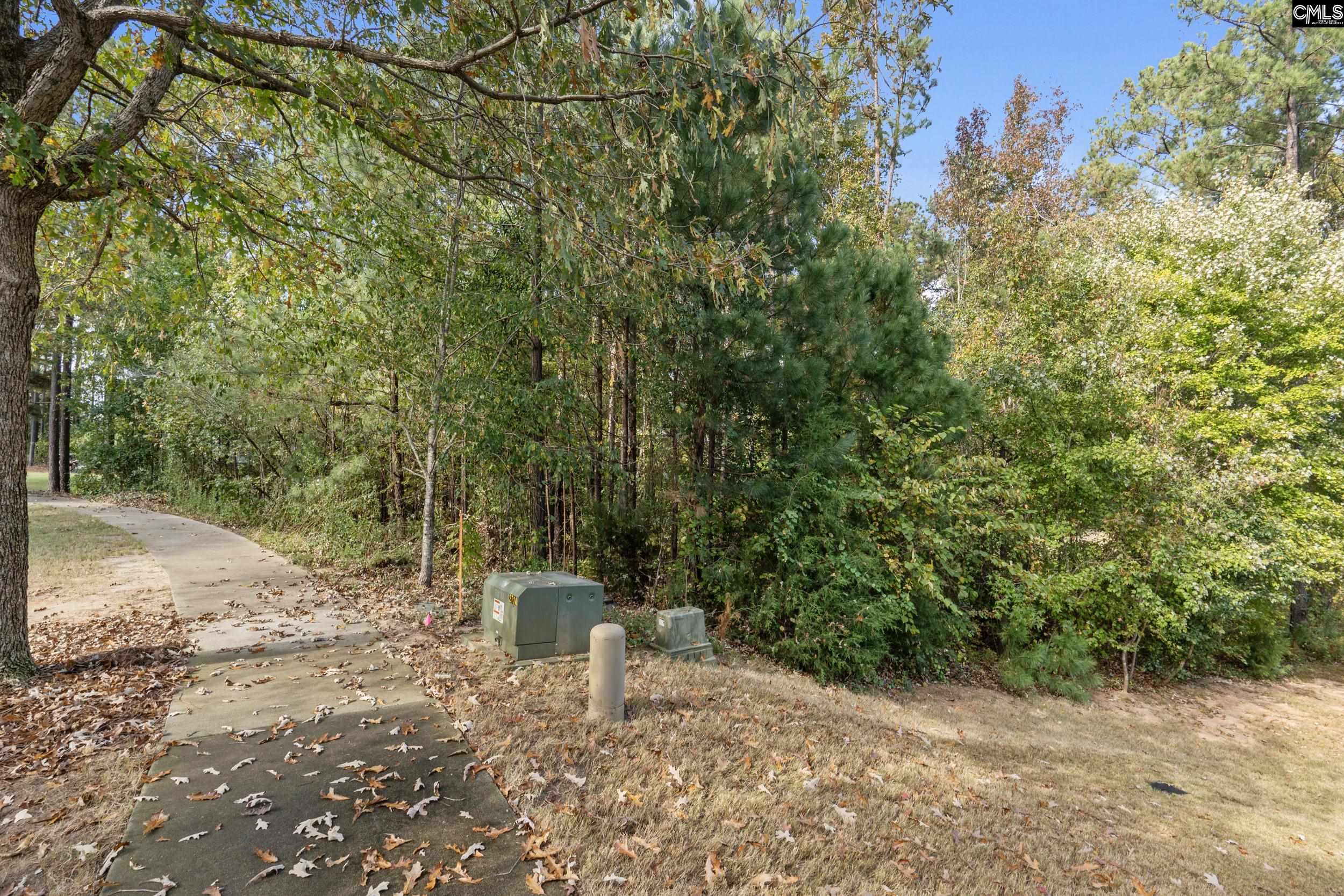 245 Woodlander Drive, Blythewood, South Carolina image 8