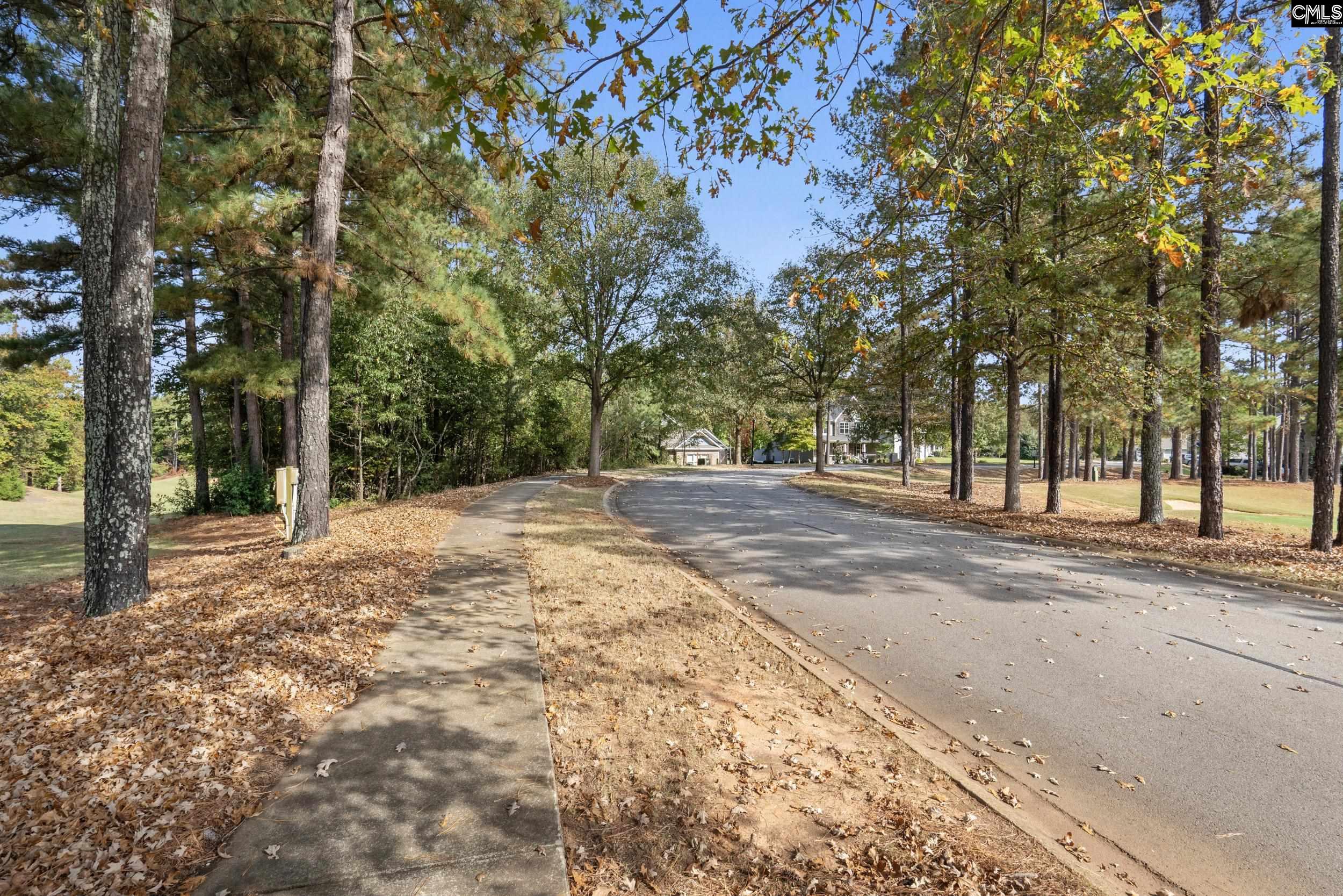 245 Woodlander Drive, Blythewood, South Carolina image 9