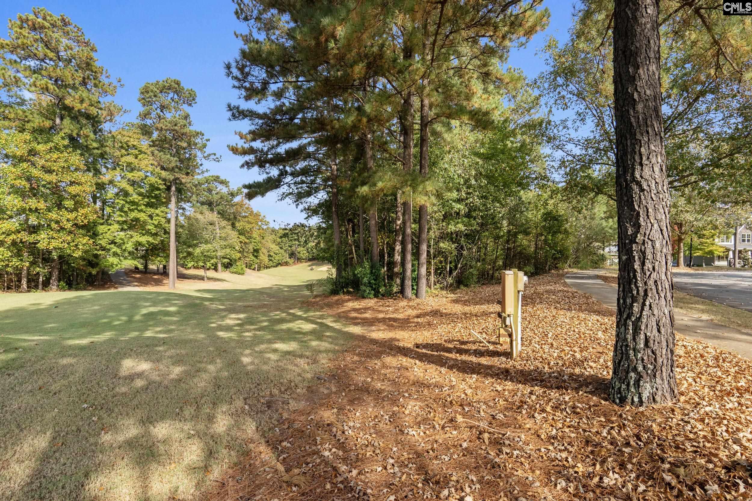 245 Woodlander Drive, Blythewood, South Carolina image 10