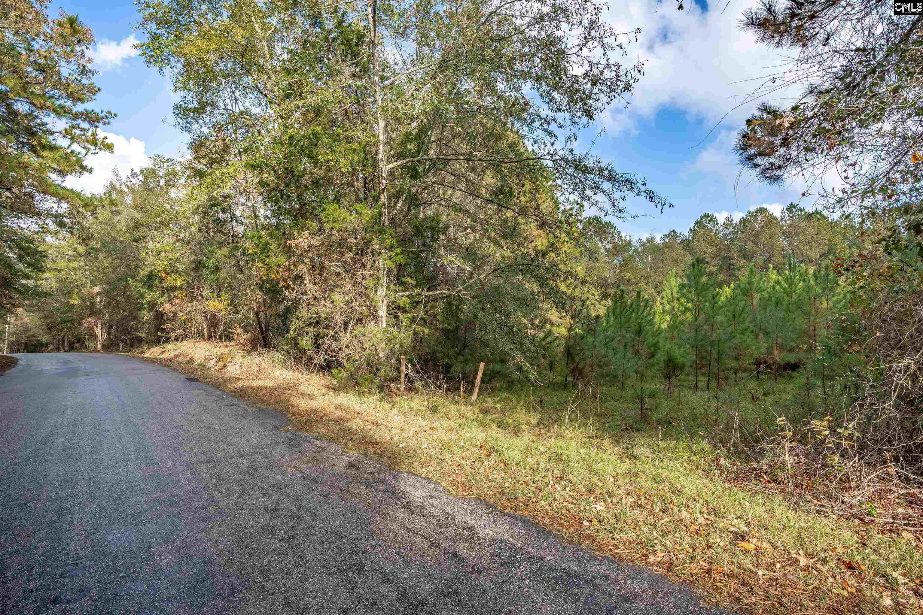 Devils Backbone Road, Leesville, South Carolina image 2