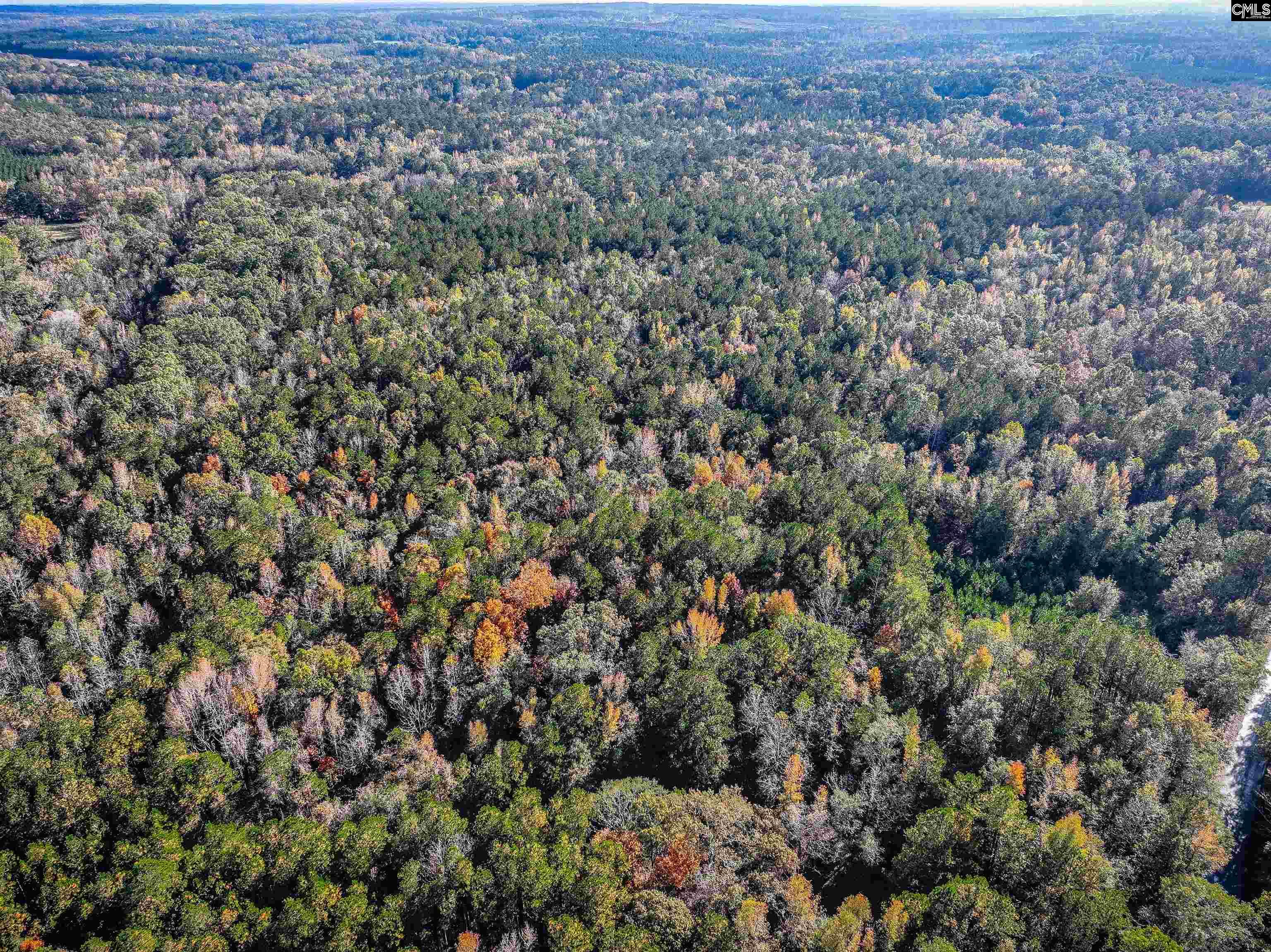 Devils Backbone Road, Leesville, South Carolina image 11
