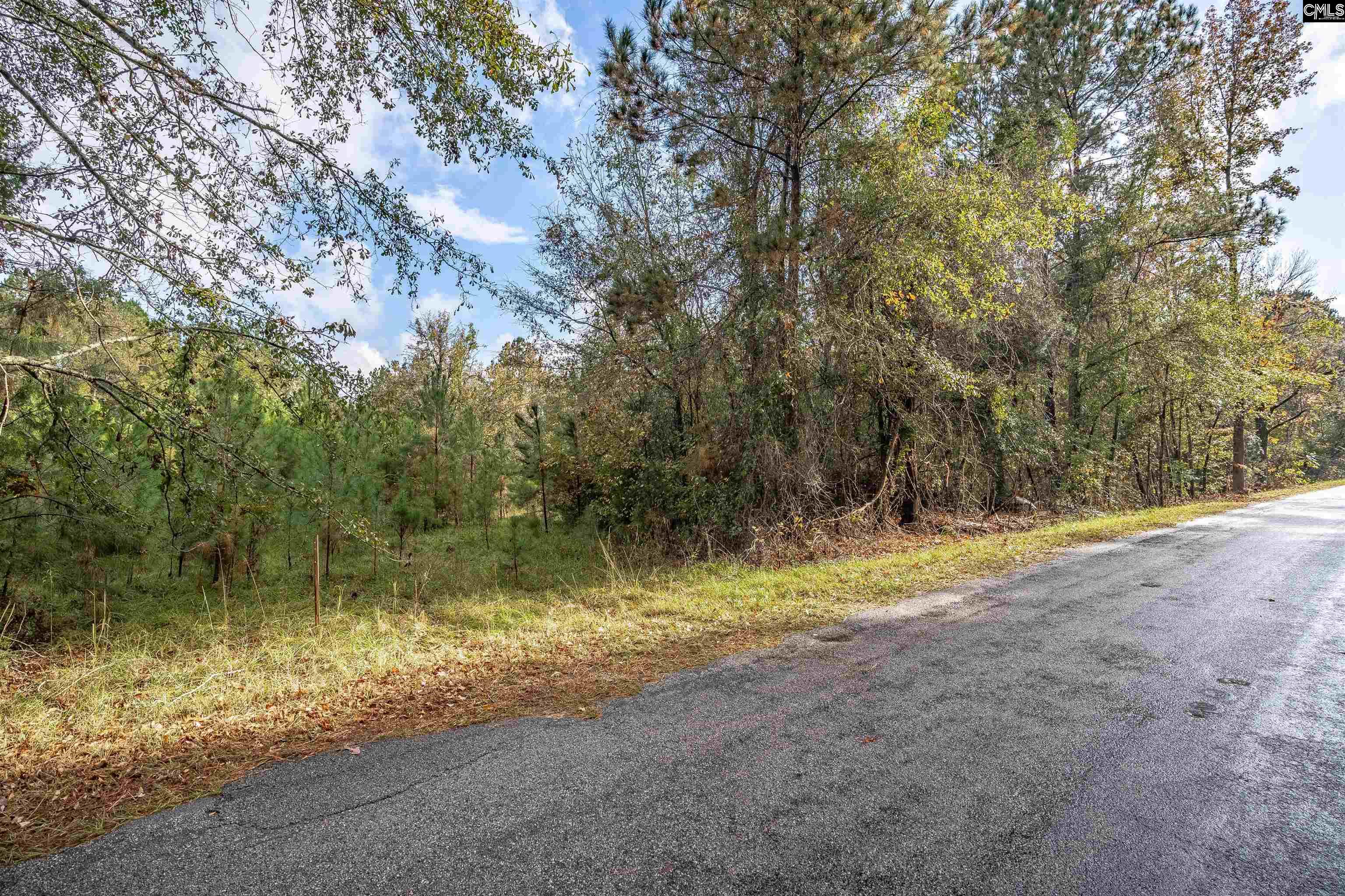 Devils Backbone Road, Leesville, South Carolina image 3
