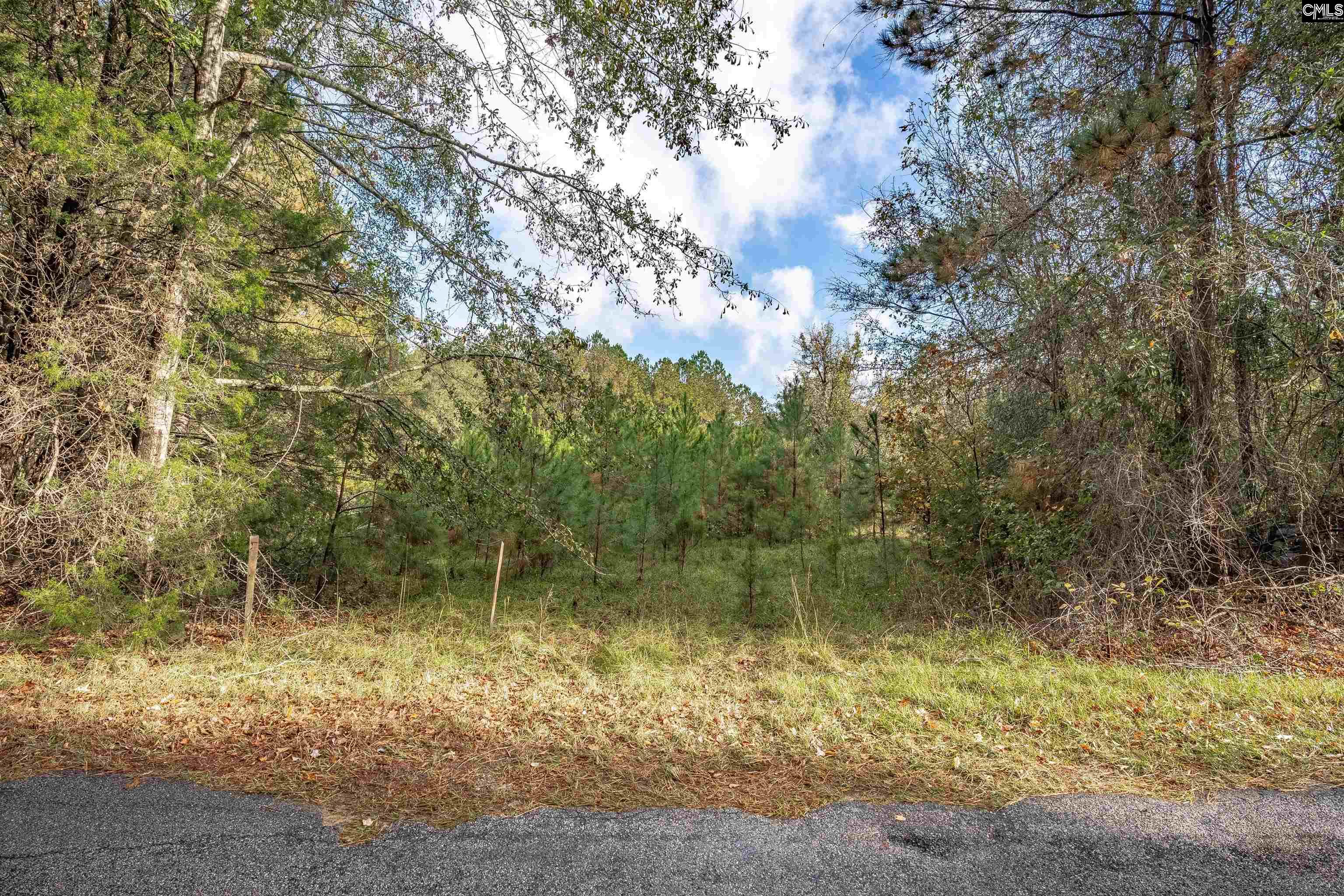 Devils Backbone Road, Leesville, South Carolina image 4