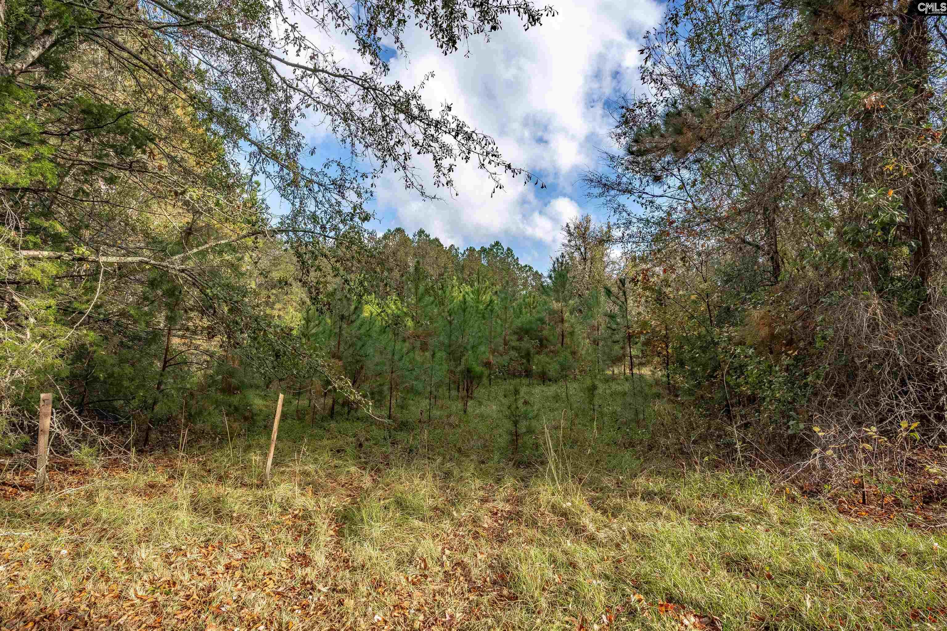 Devils Backbone Road, Leesville, South Carolina image 5