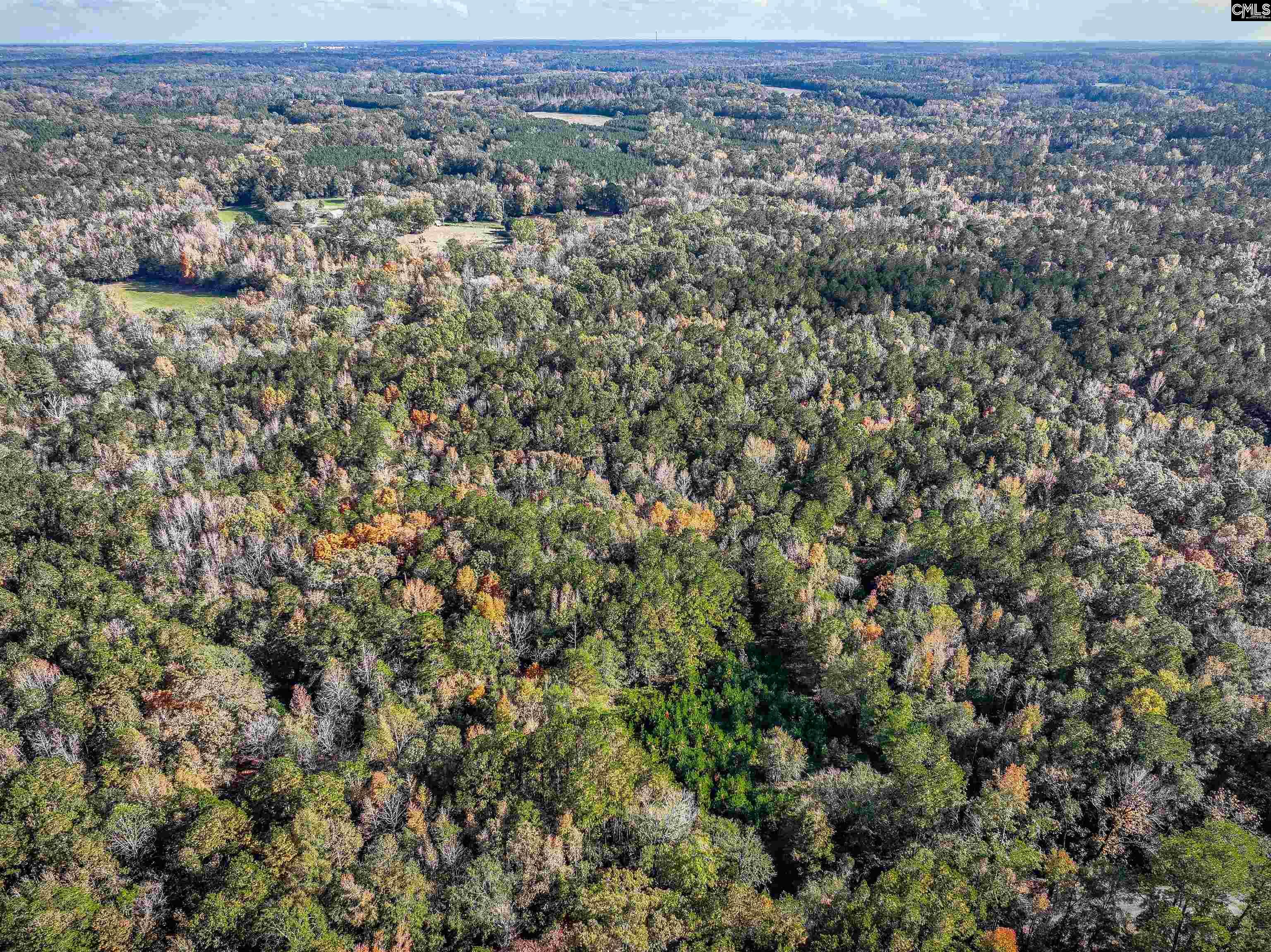 Devils Backbone Road, Leesville, South Carolina image 8