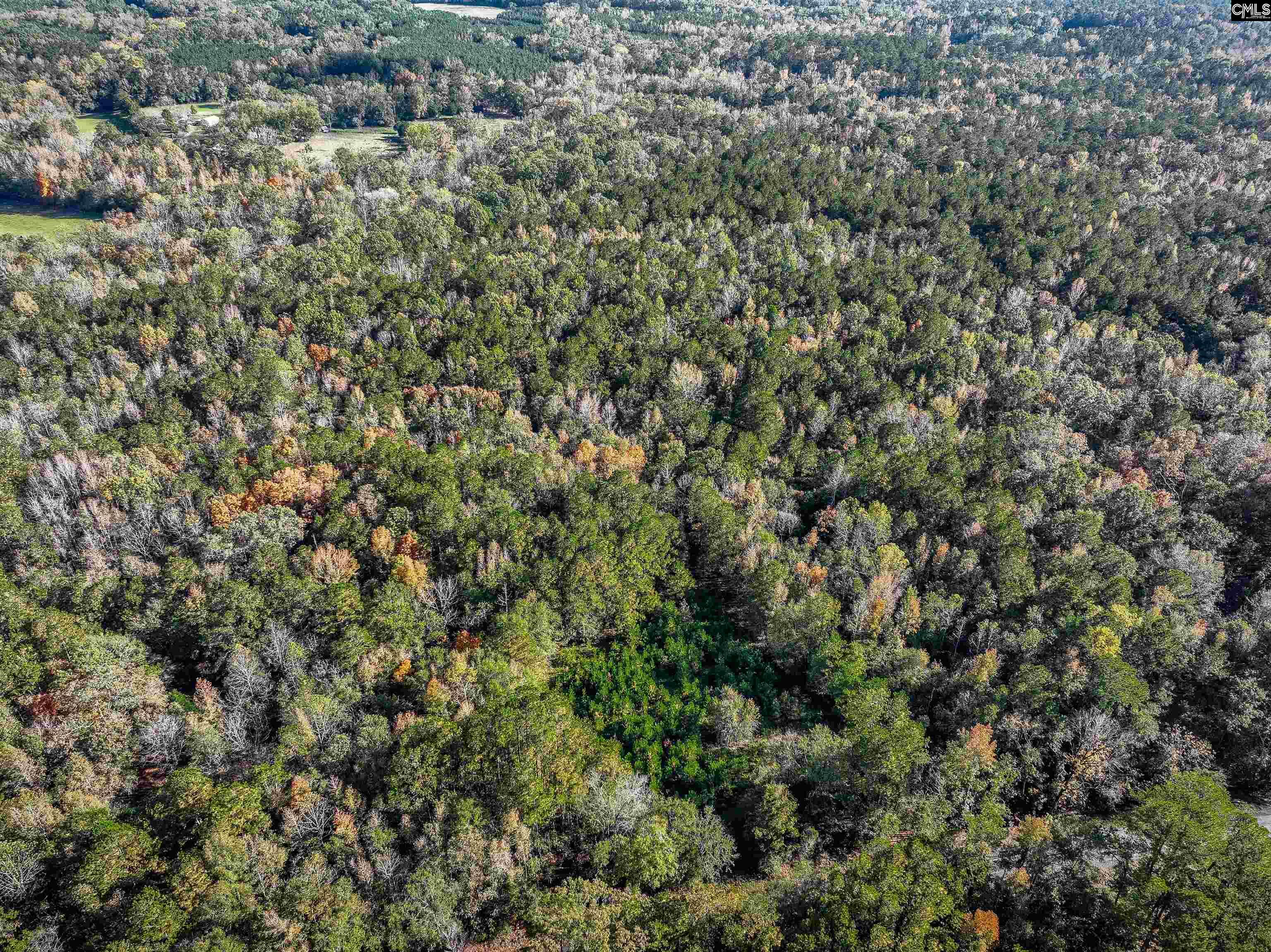 Devils Backbone Road, Leesville, South Carolina image 9