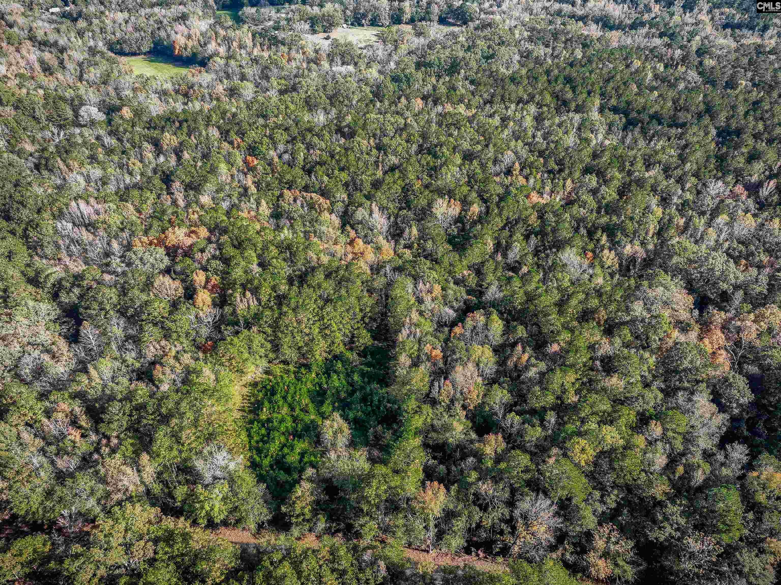 Devils Backbone Road, Leesville, South Carolina image 10