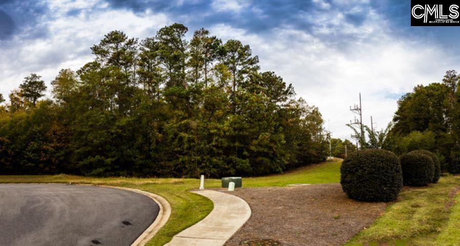 160 Dunleith Way Irmo, SC 29063