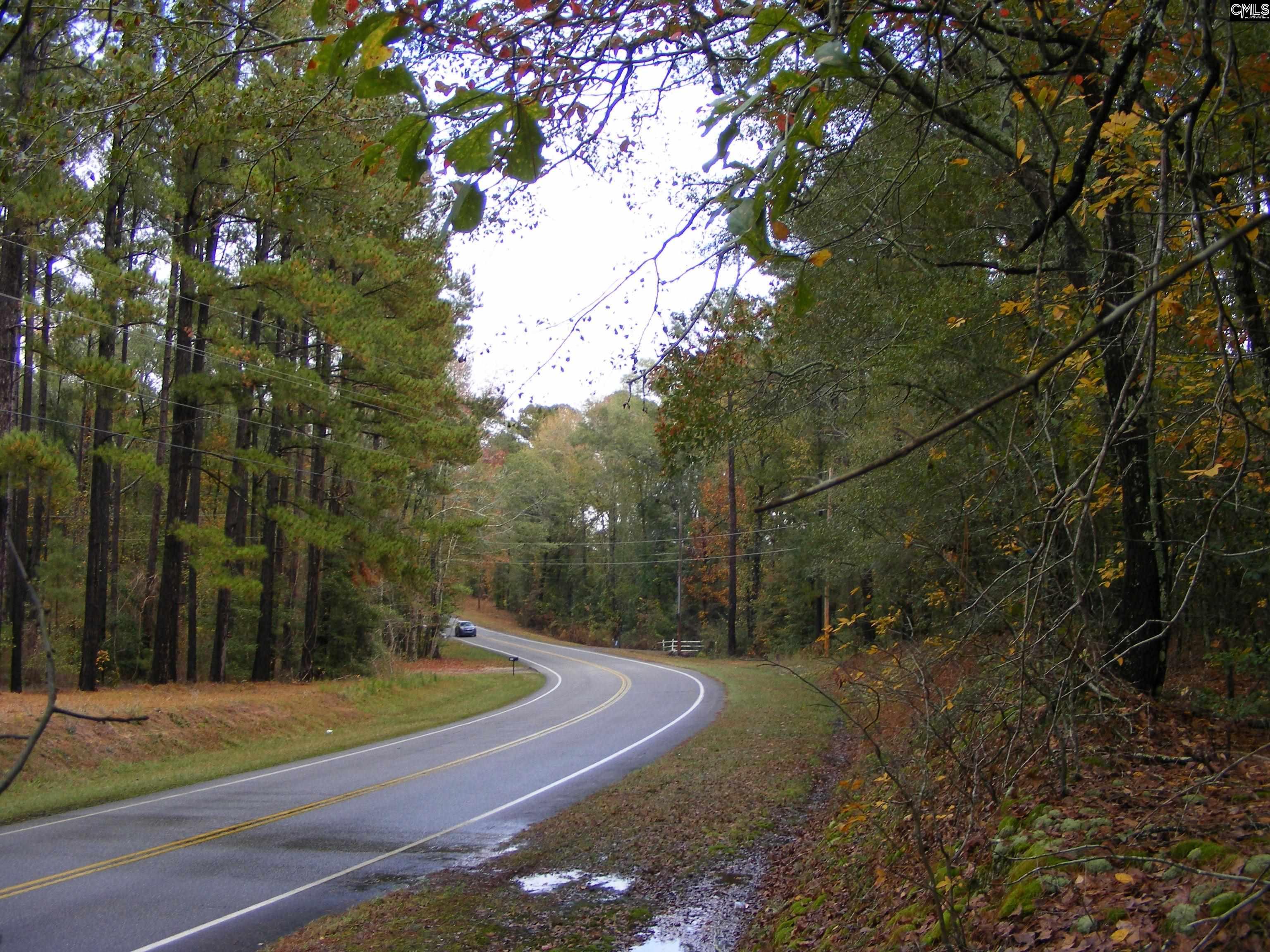 00000 Old Swamp Road Swansea, SC 29160
