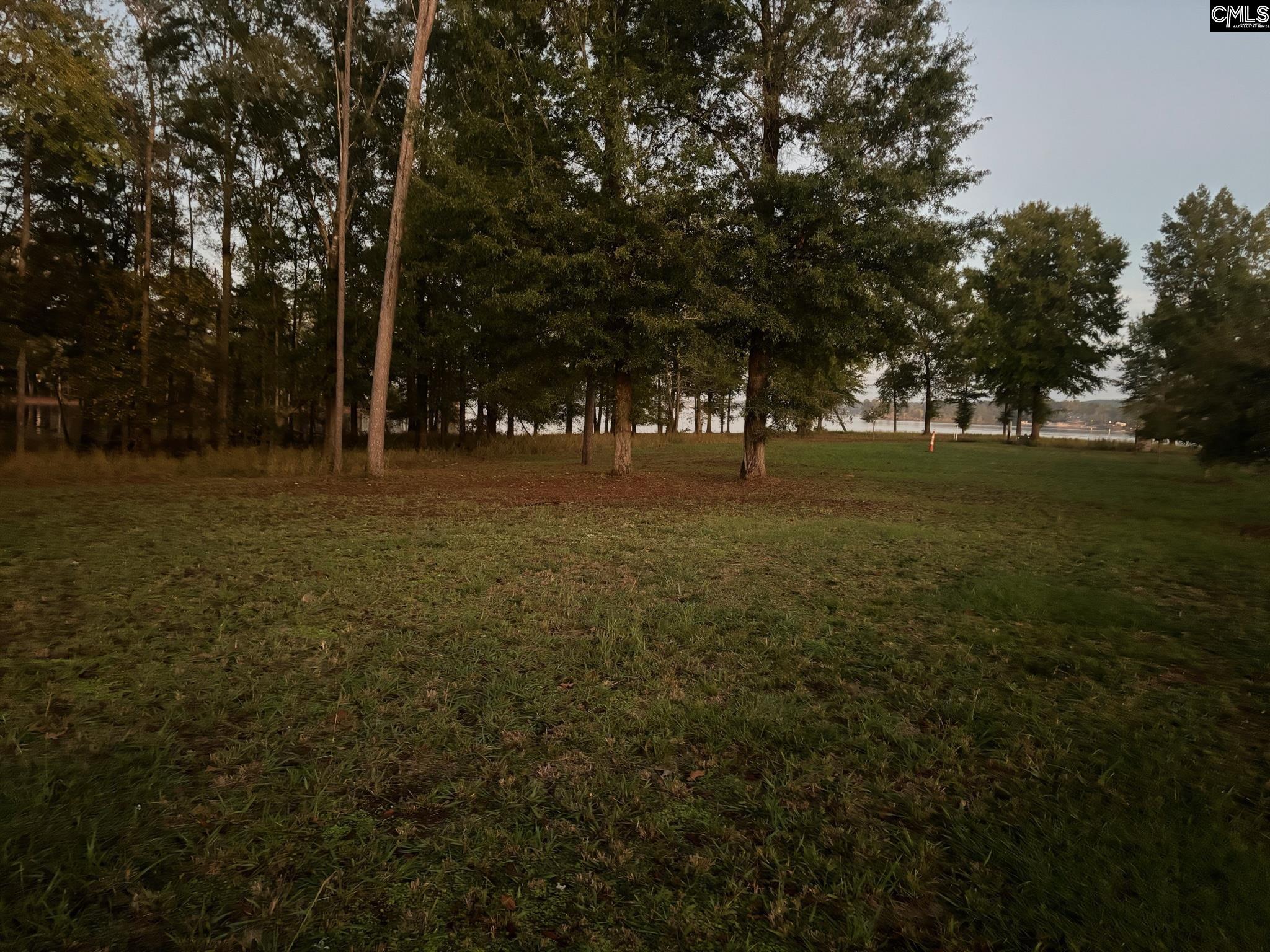 10 Big Water View, Ridgeway, South Carolina image 12