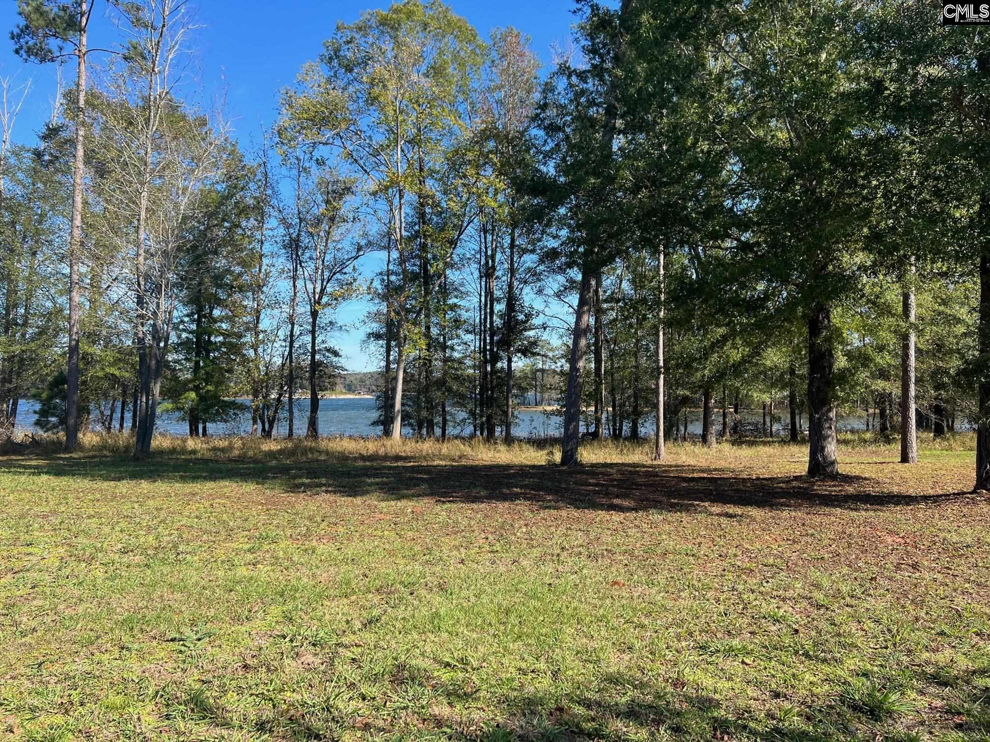 10 Big Water View, Ridgeway, South Carolina image 5