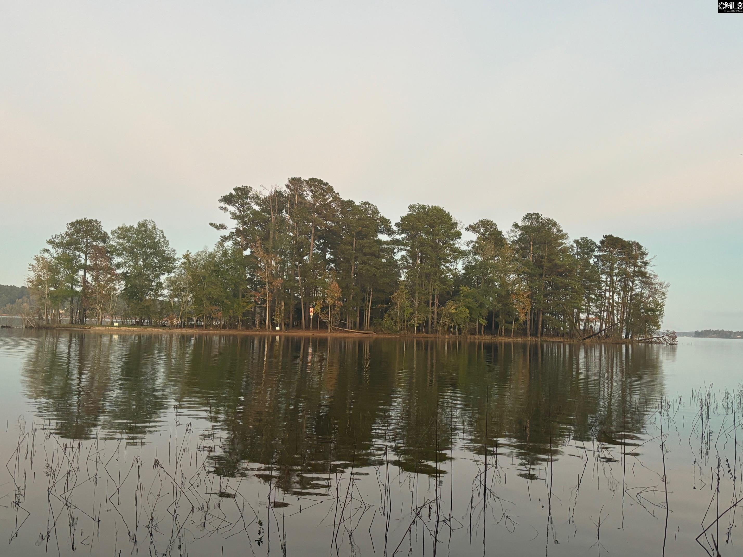10 Big Water View, Ridgeway, South Carolina image 7