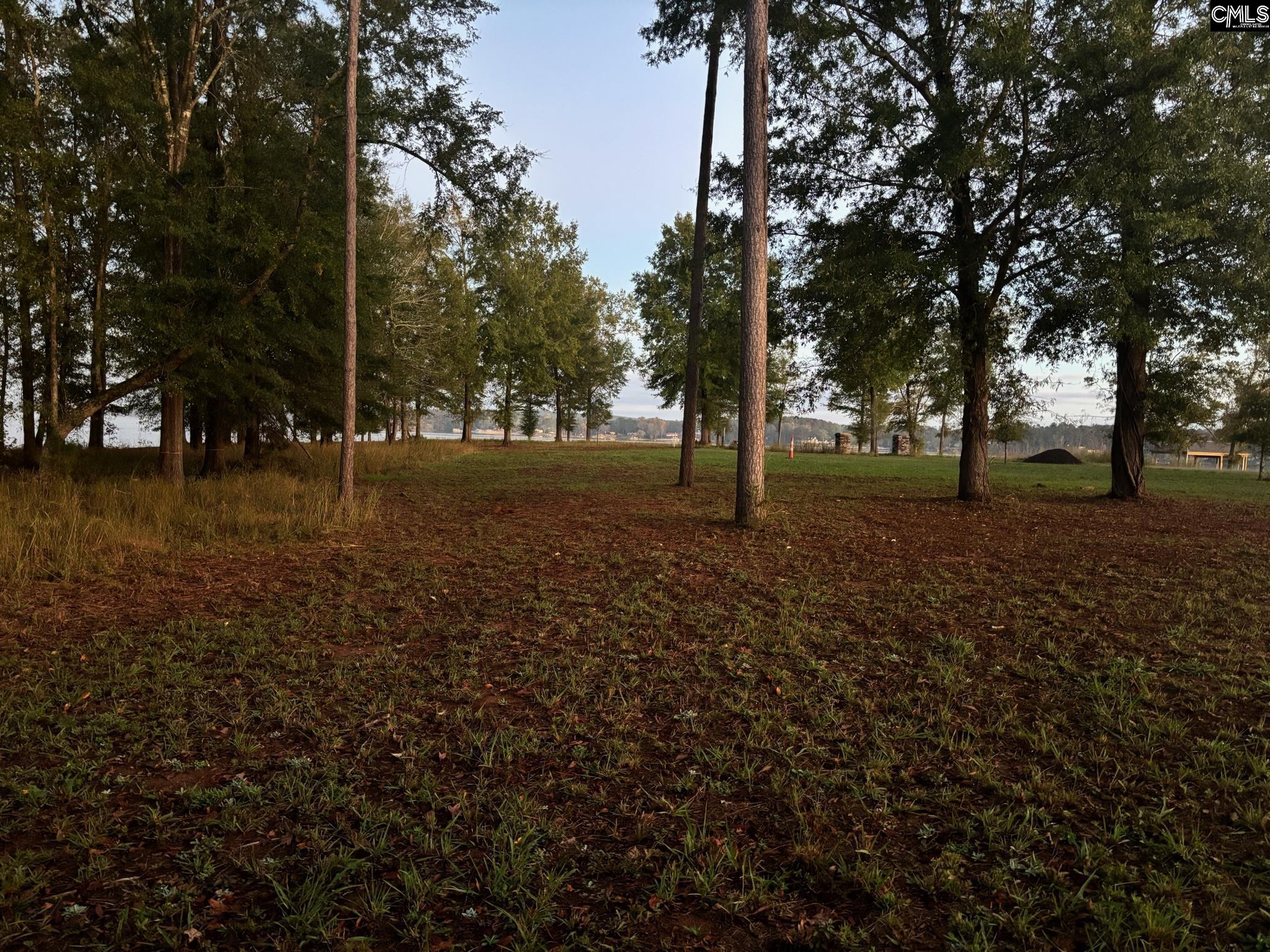 10 Big Water View, Ridgeway, South Carolina image 8