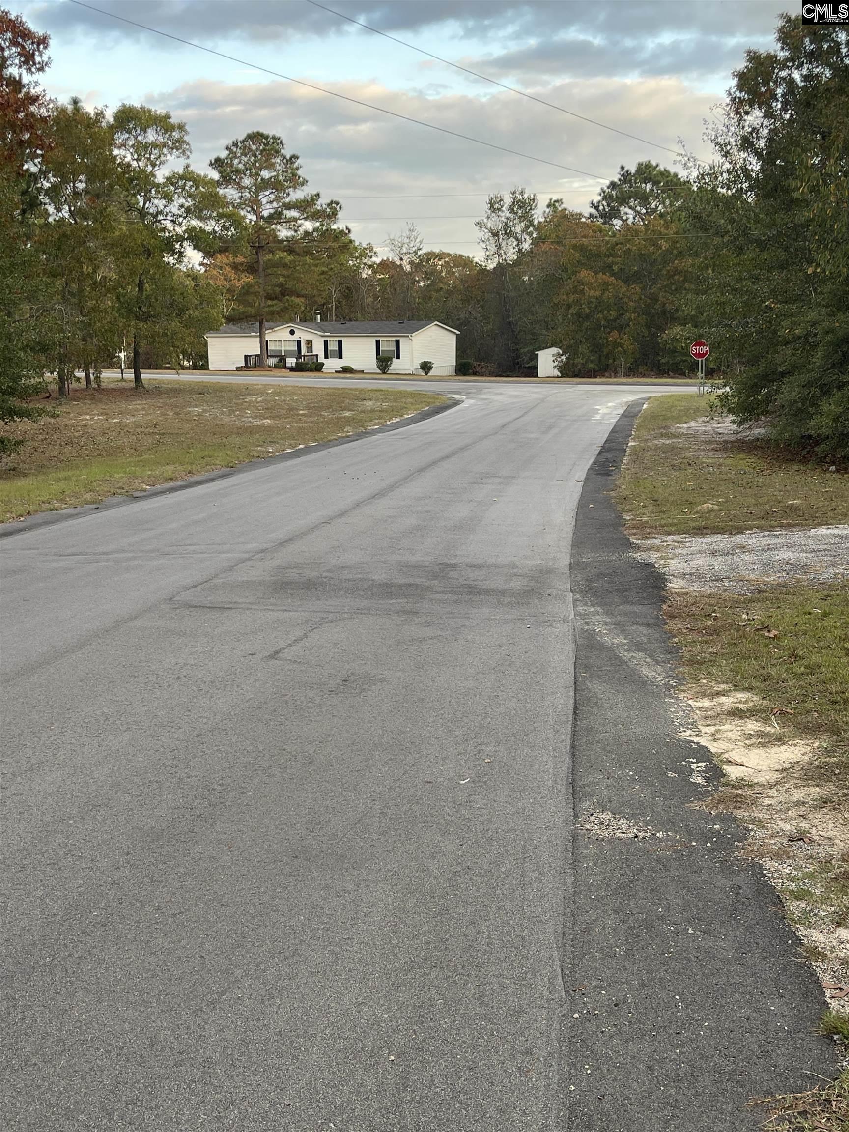 1509 Mohican Court, Lugoff, South Carolina image 24