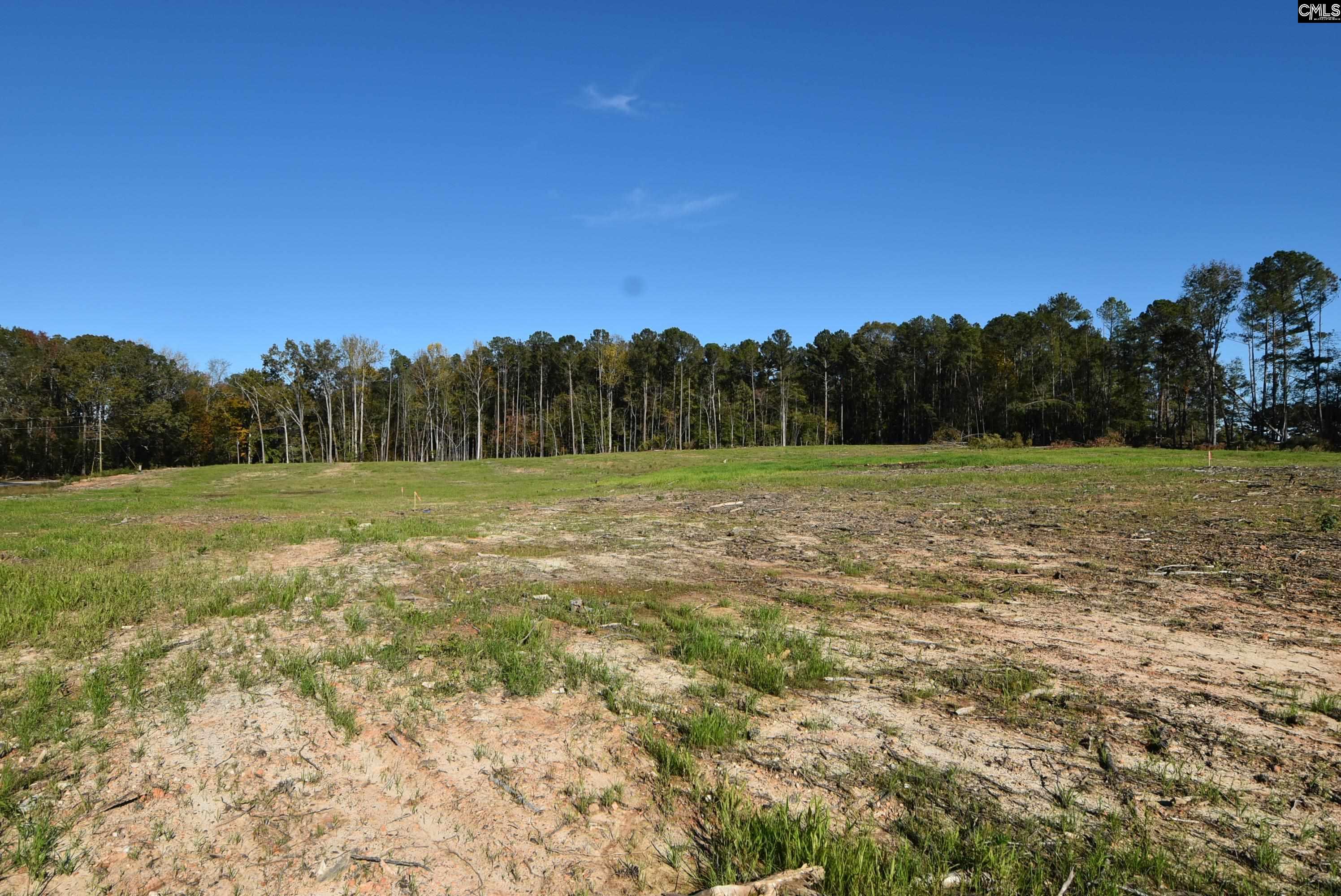 Lot 4 Gold Nugget Point UNIT #4 Prosperity, SC 29127