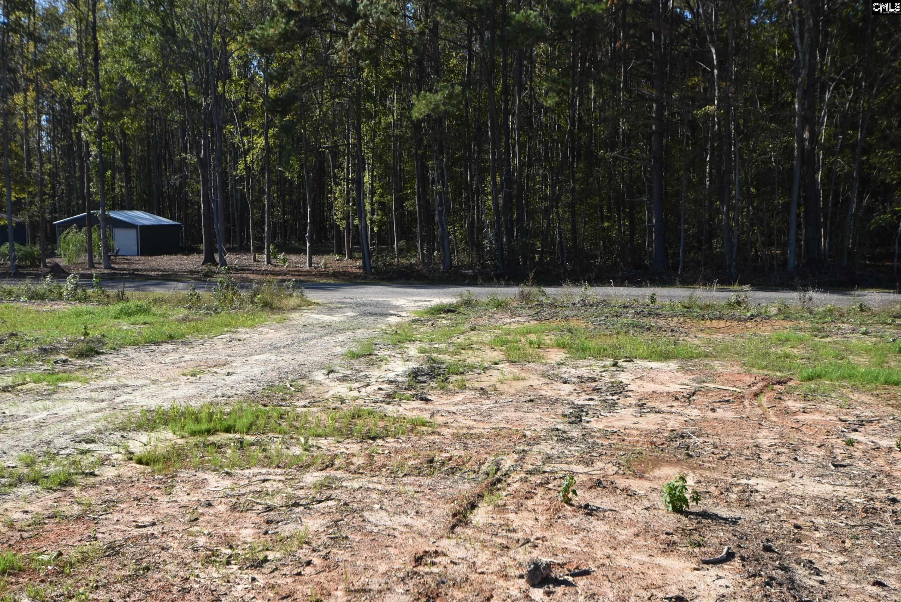 Lot 5 Gold Nugget Point UNIT #5 Prosperity, SC 29127