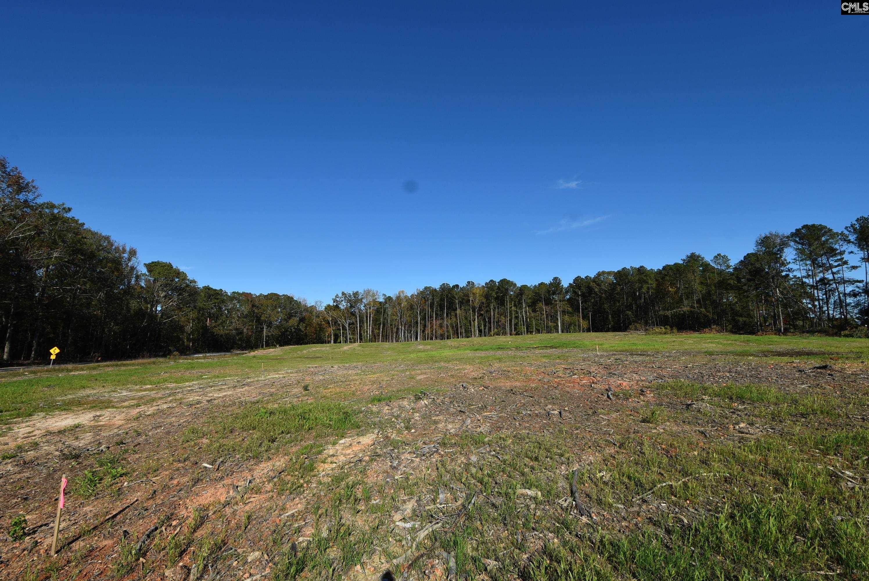 Lot 5 Gold Nugget Point UNIT #5 Prosperity, SC 29127