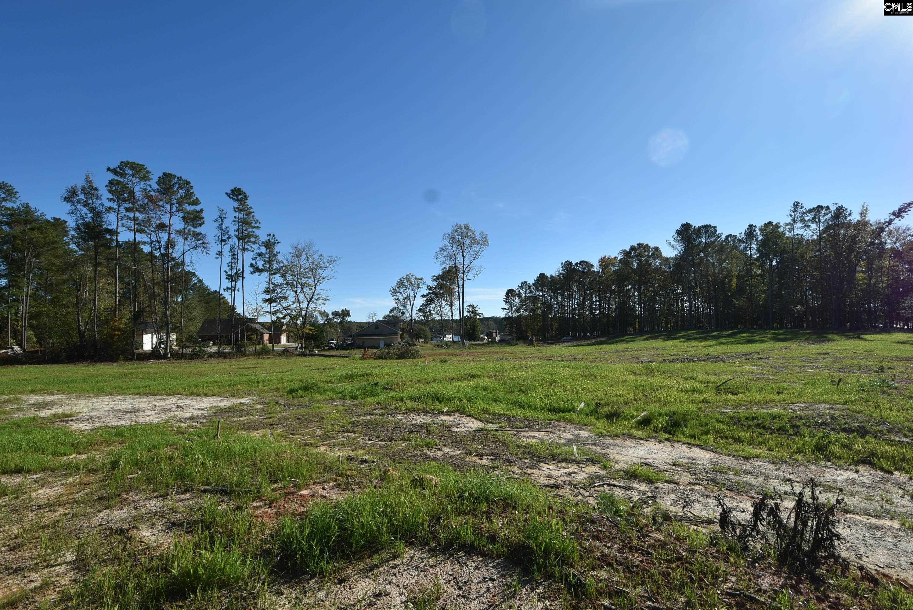 Lot 5 Gold Nugget Point UNIT #5 Prosperity, SC 29127