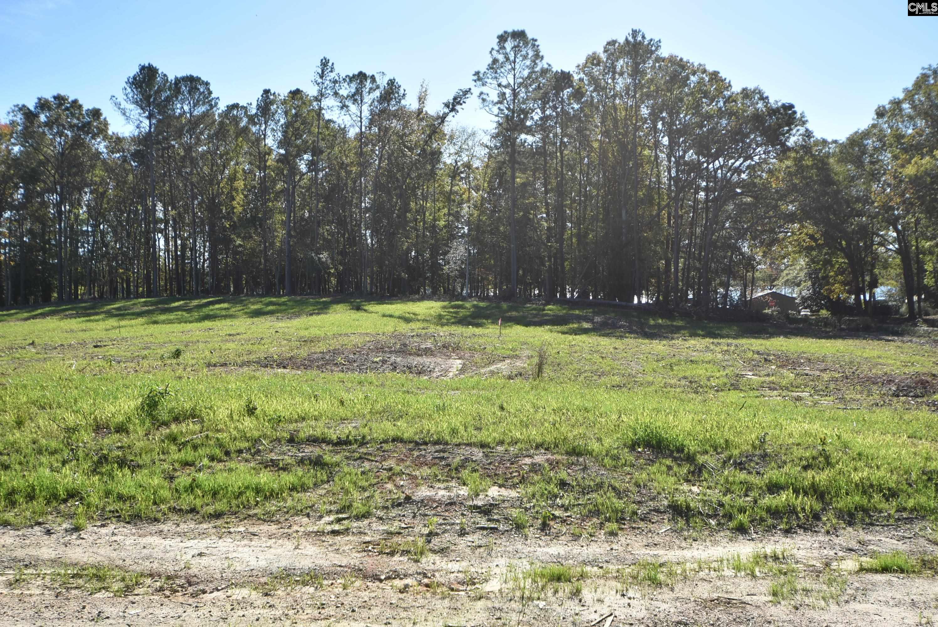 Lot 6 Gold Nugget Point UNIT #6 Prosperity, SC 29127