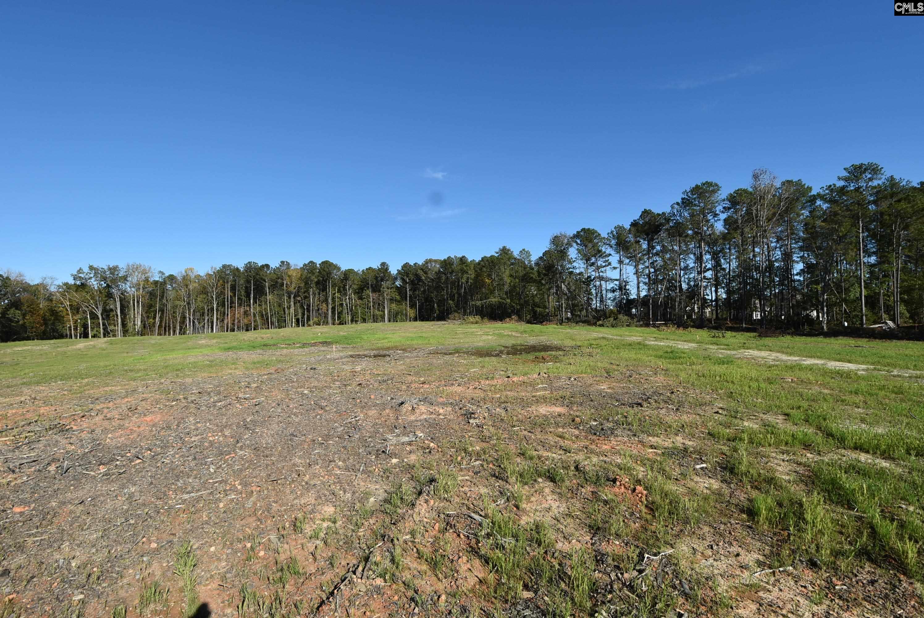 Lot 6 Gold Nugget Point UNIT #6 Prosperity, SC 29127