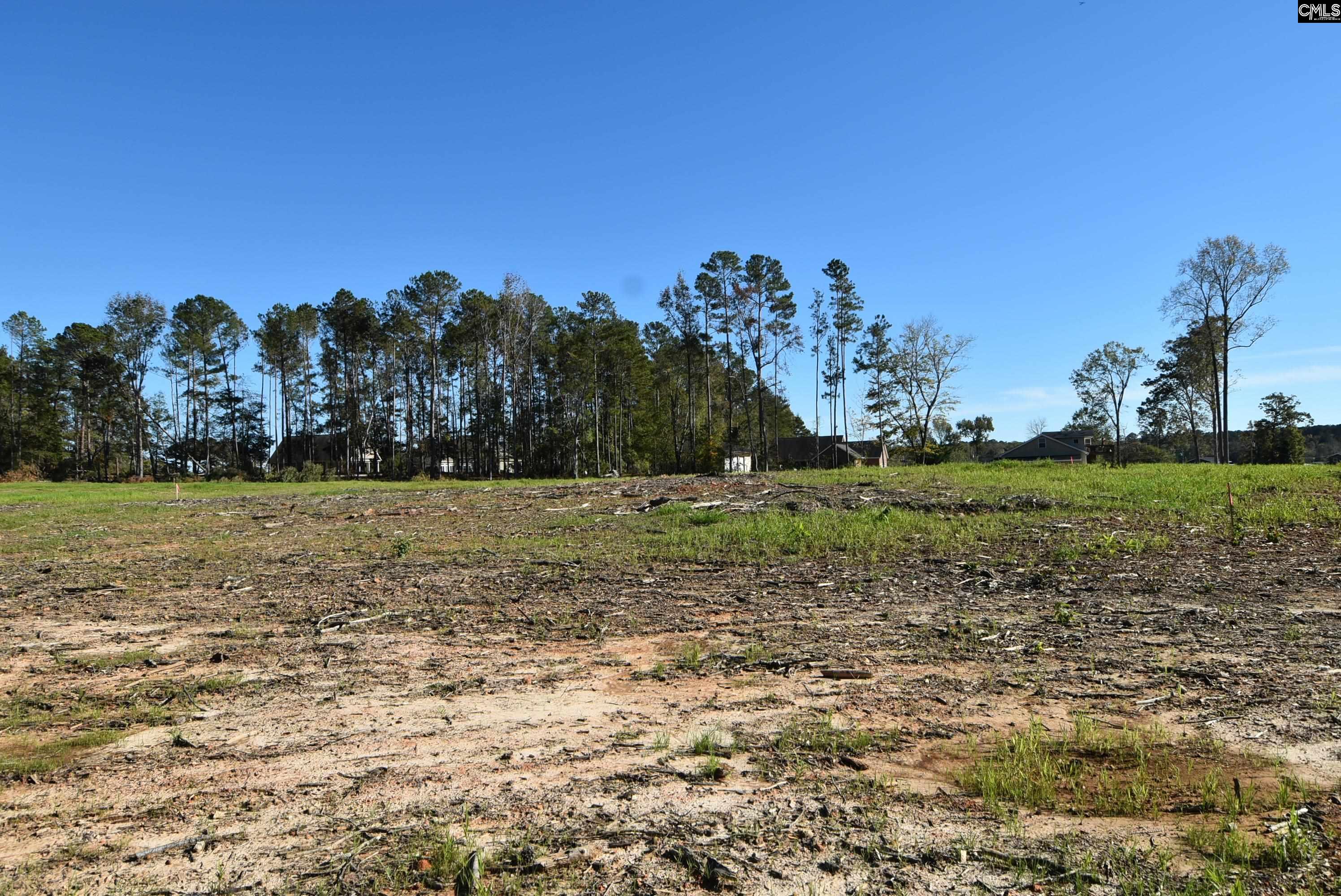 Lot 7 Gold Nugget Point UNIT #7 Prosperity, SC 29127