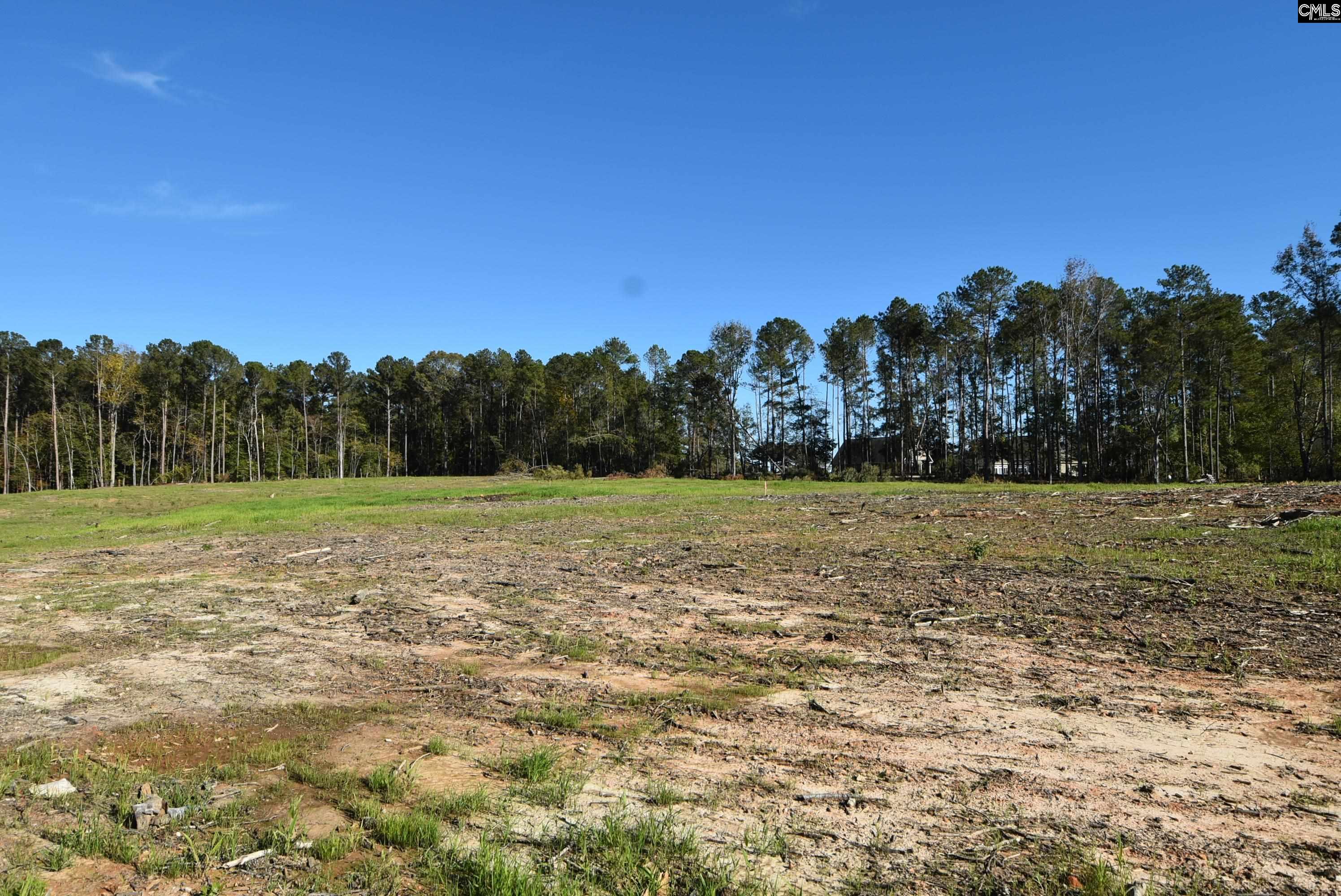 Lot 8 Gold Nugget Point UNIT #8 Prosperity, SC 29127