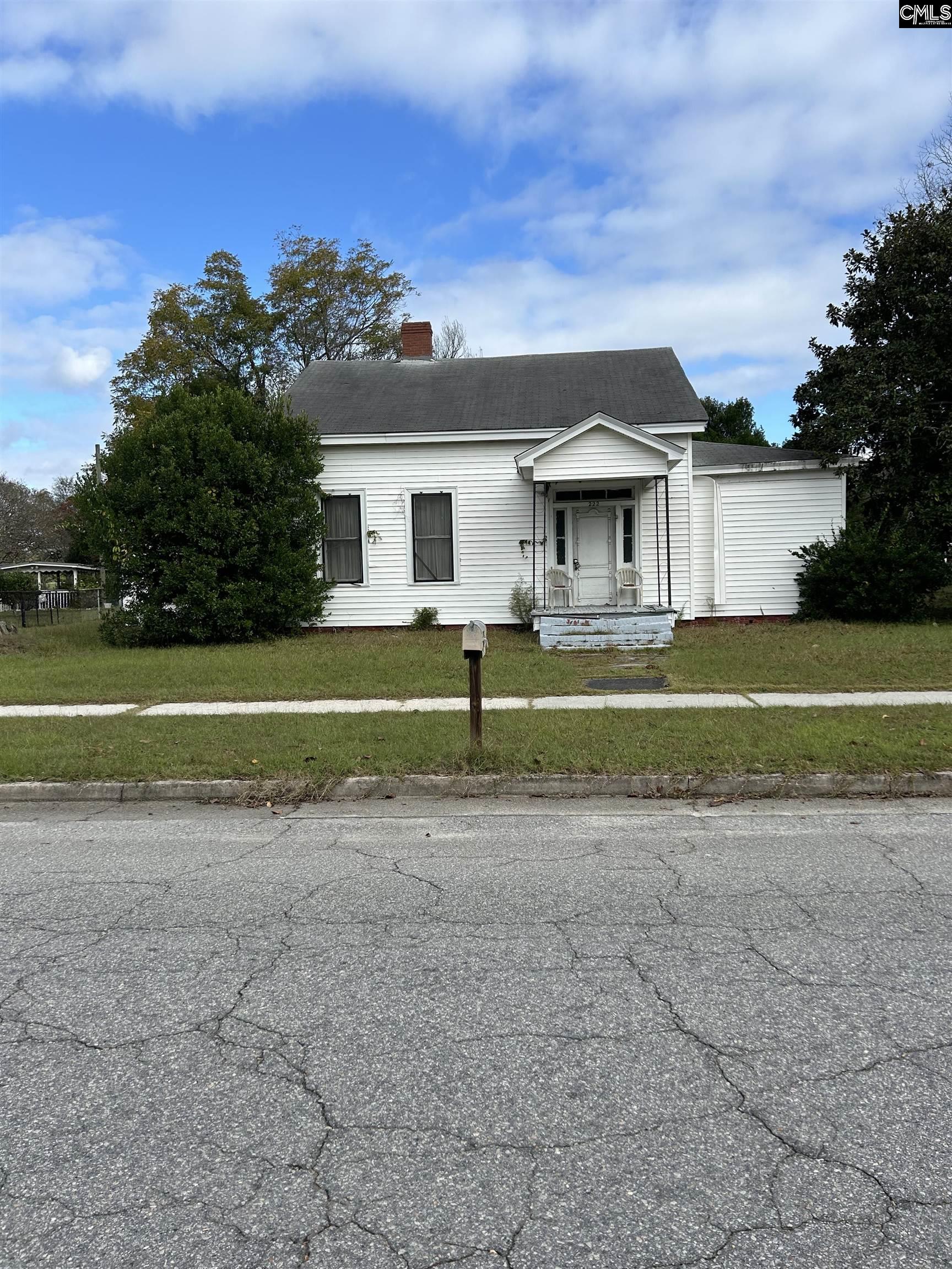 222 Main Street, Leesville, South Carolina image 1