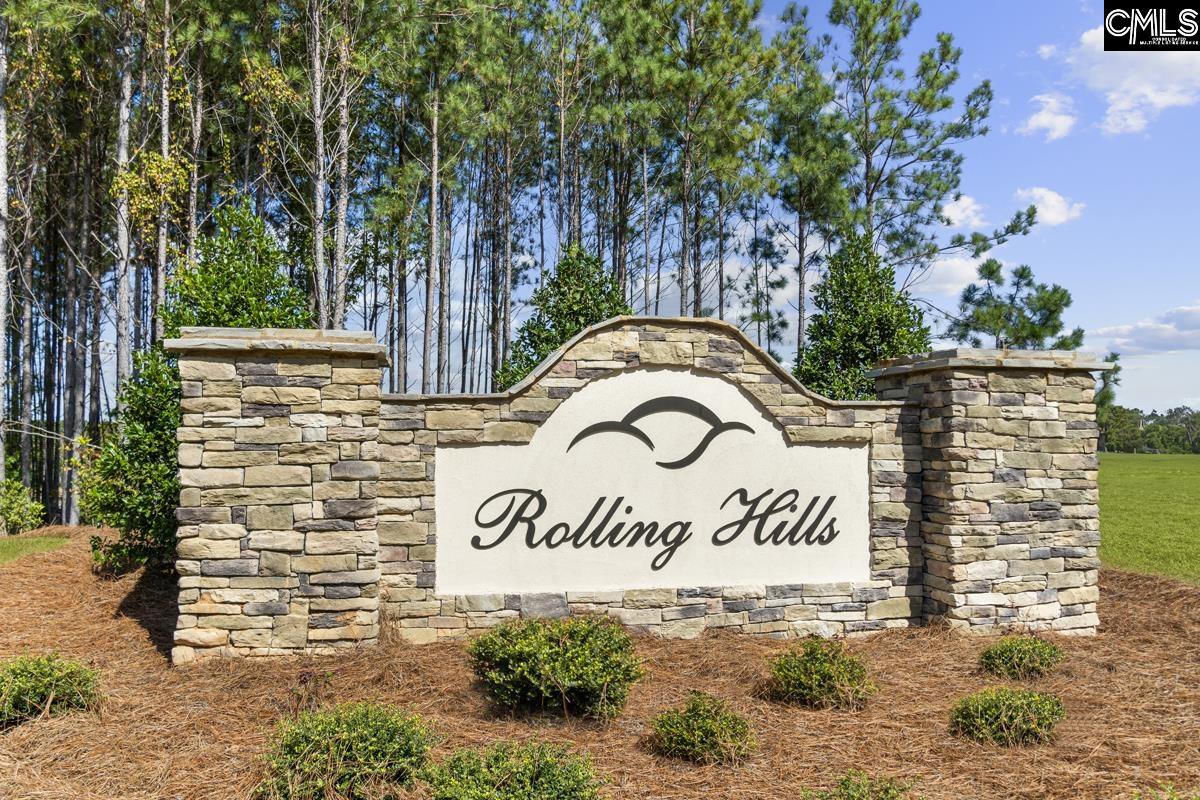 292 Roundup Trail, Prosperity, South Carolina image 1