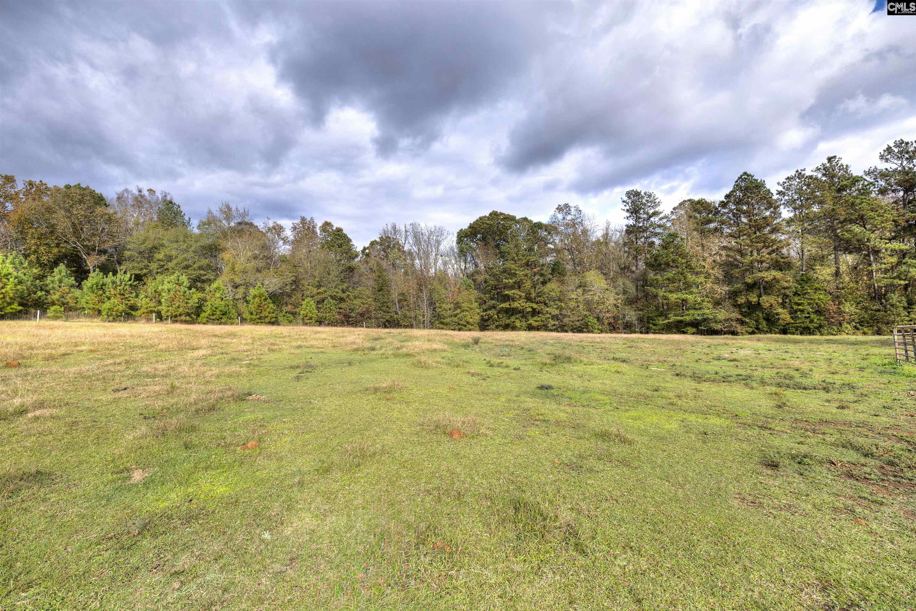 1246 Park Road, Ridgeway, South Carolina image 6