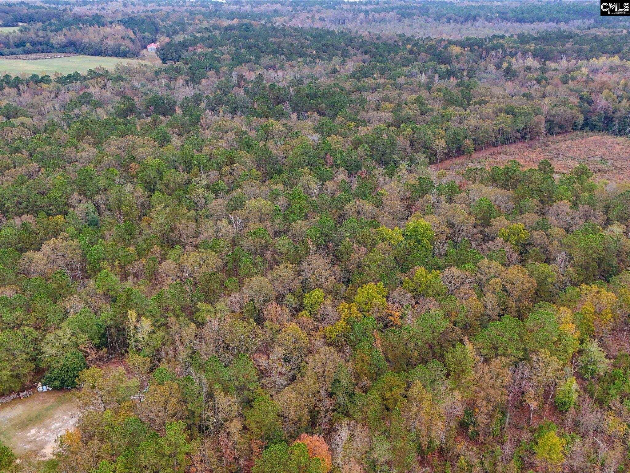 290 A Frost Road, Camden, South Carolina image 3