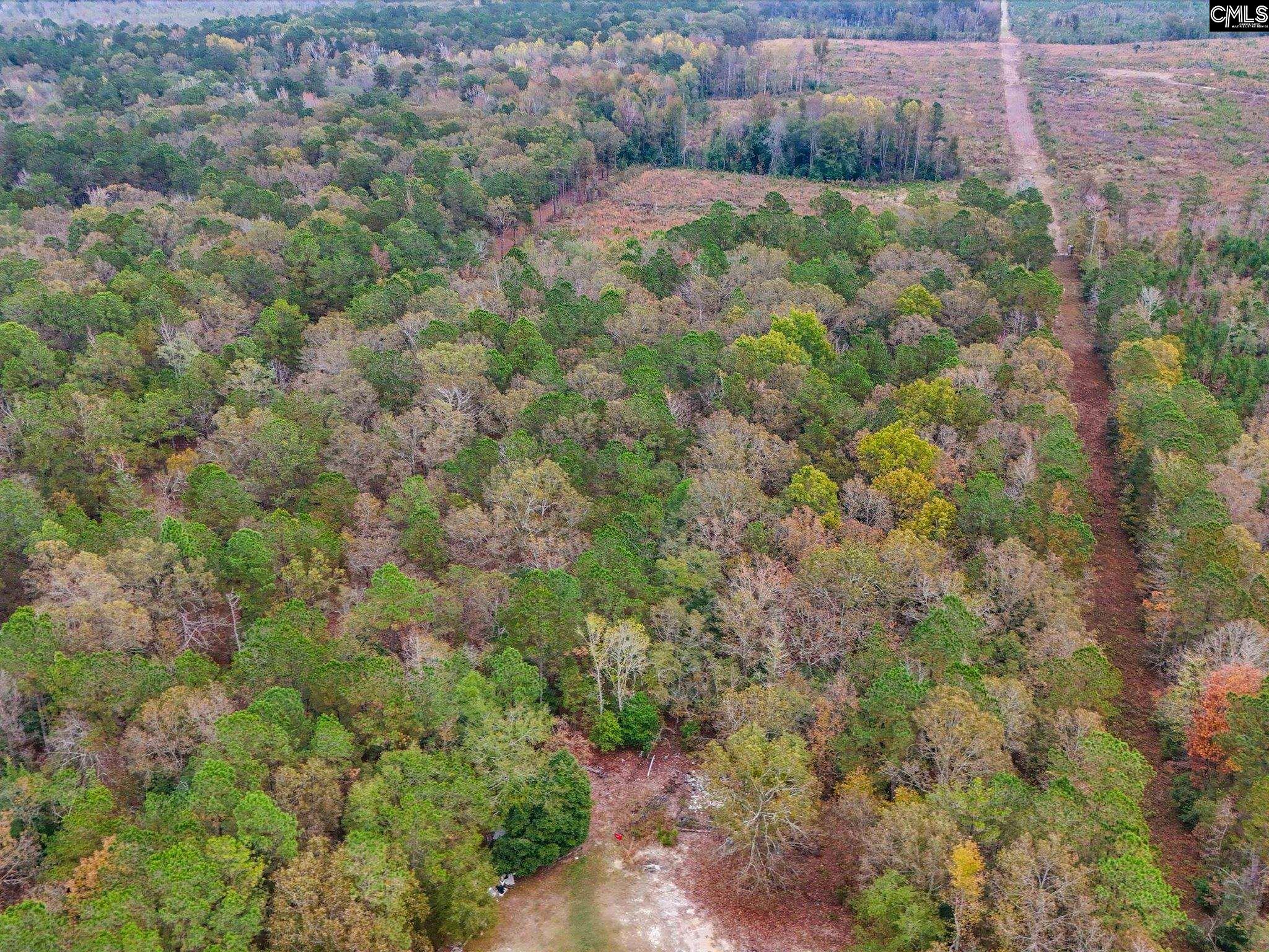 290 A Frost Road, Camden, South Carolina image 5