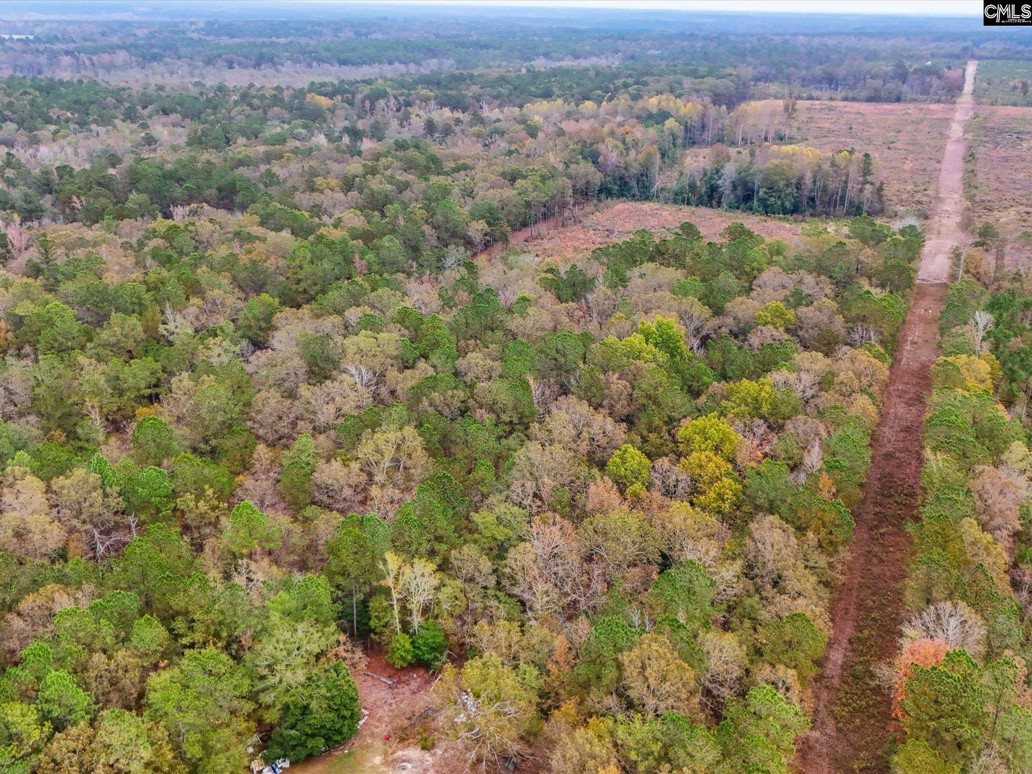 290 A Frost Road, Camden, South Carolina image 6