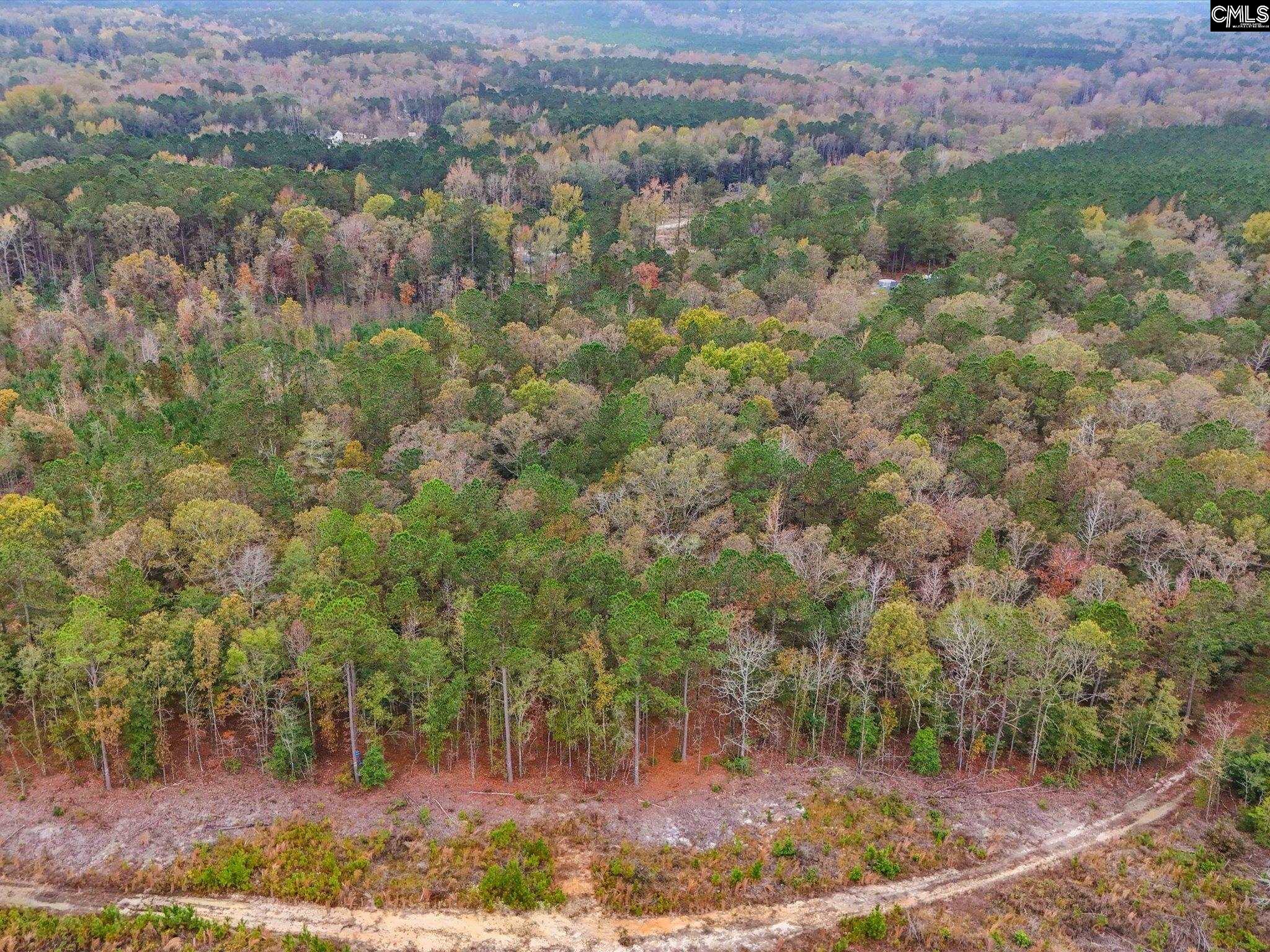 290 A Frost Road, Camden, South Carolina image 7